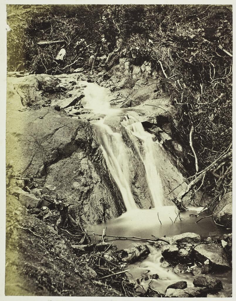 Waterfall, Thames, Auckland
