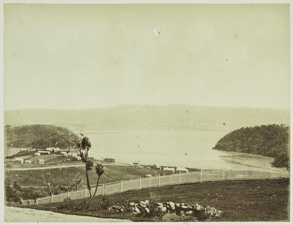 Dunedin from Andersons Bay