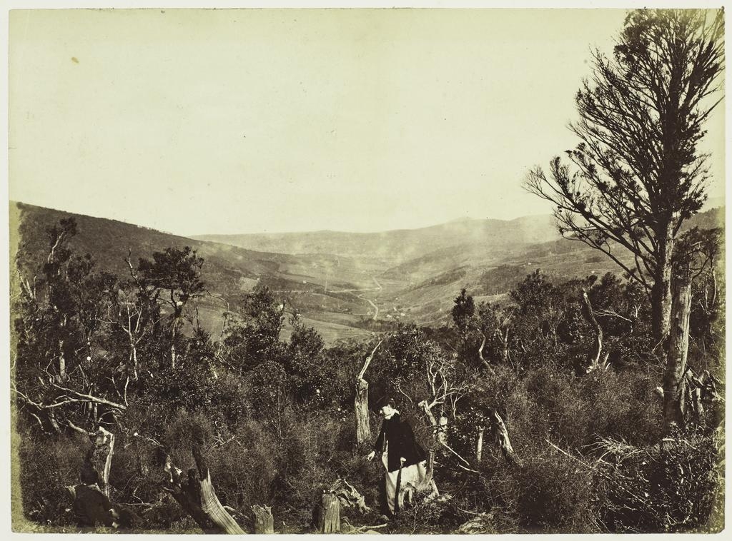 Dunedin from North East Valley