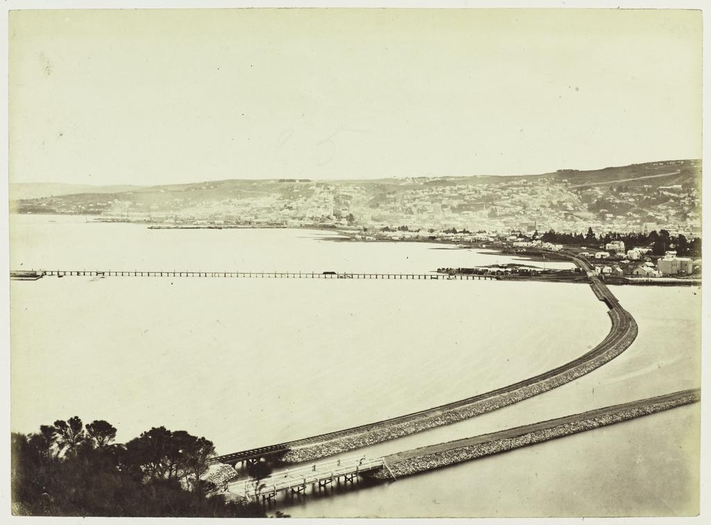 Dunedin from Logan's Point
