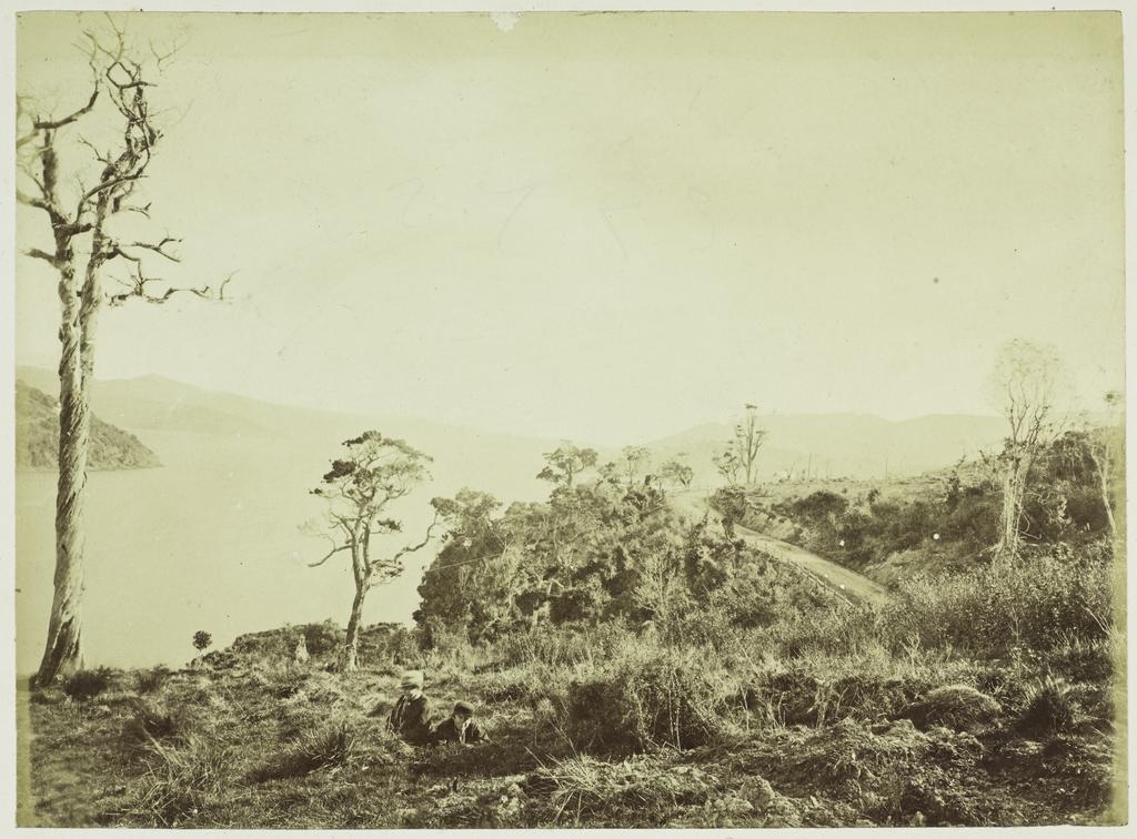 On the Port Chalmers Road