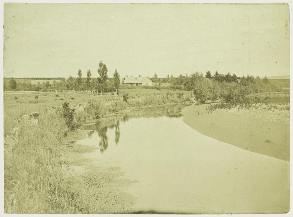 Greenvale Station, Tapanui