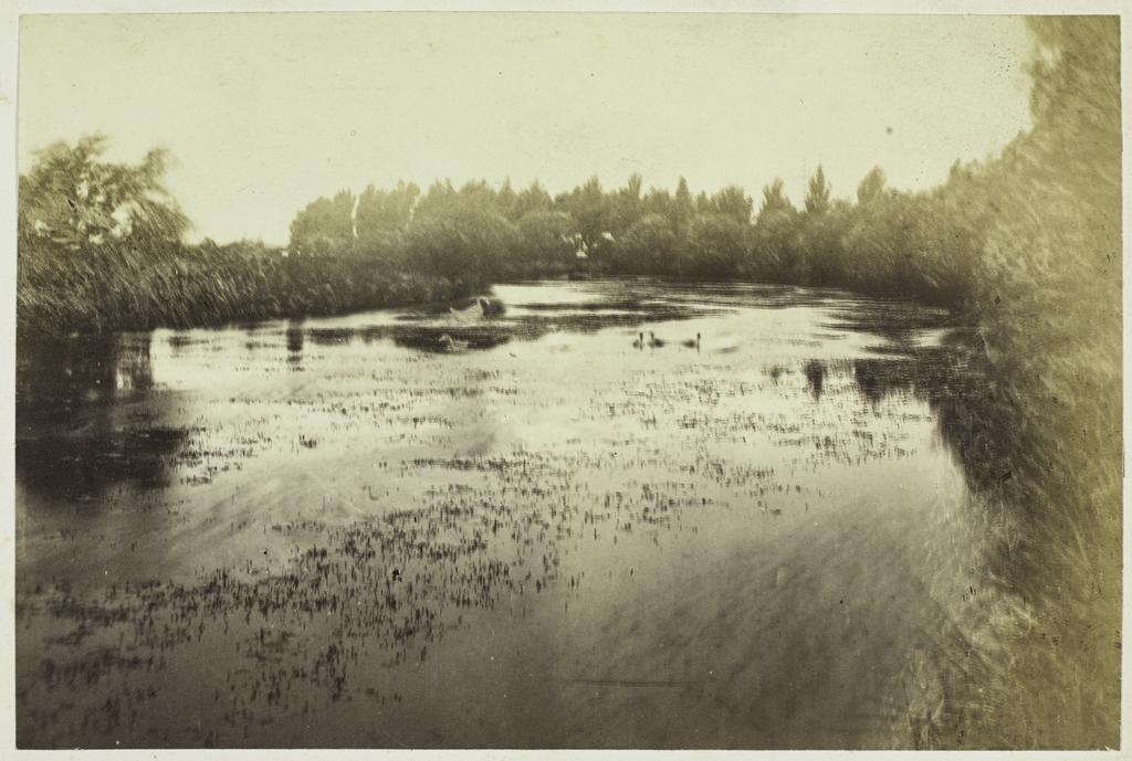 Balruddery Station pond