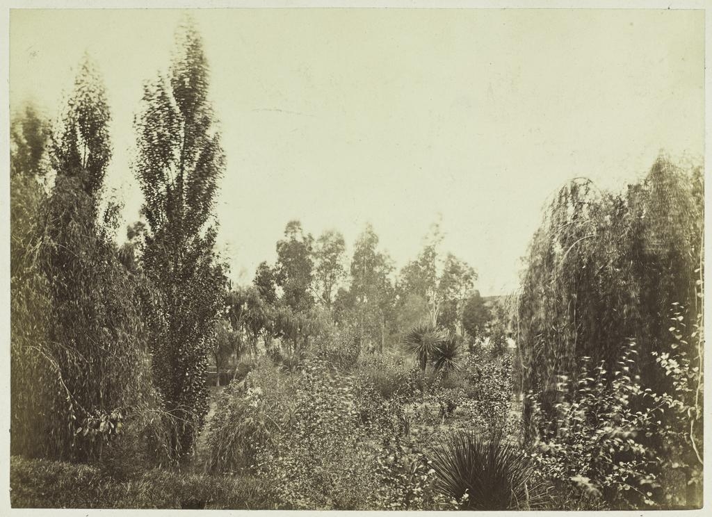 Balruddery Station garden