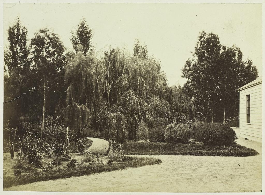 Balruddery Station garden