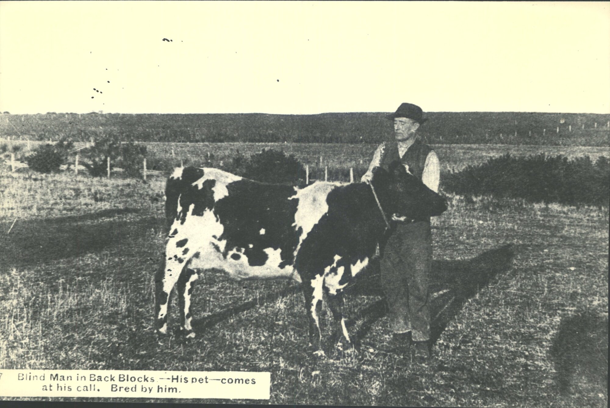 Blind man in back blocks. His pet, comes at his call. Bred by him