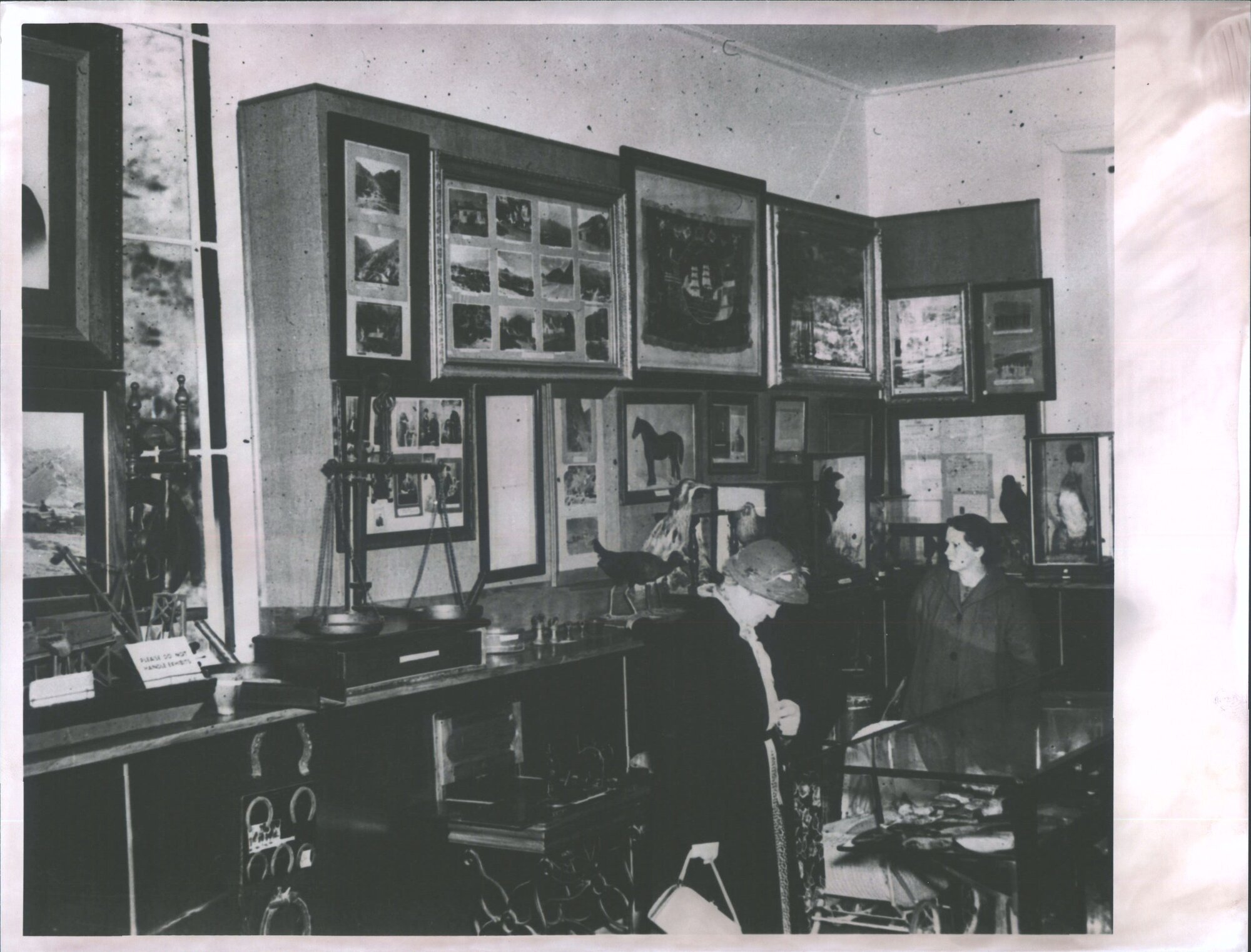 Exhibit featuring Native taxidermy birds