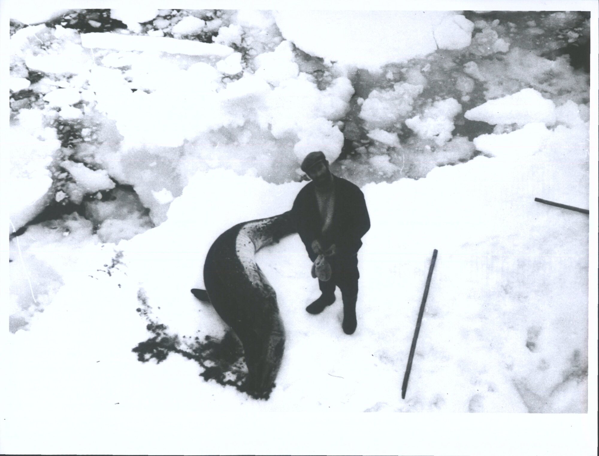 Seaman (Eddis) Johansen after shooting leopard seal