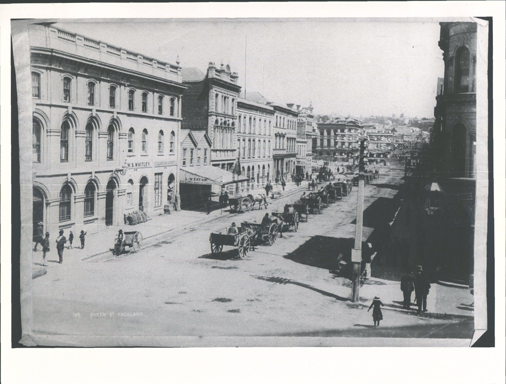 Horse and Carts on Queen Street
