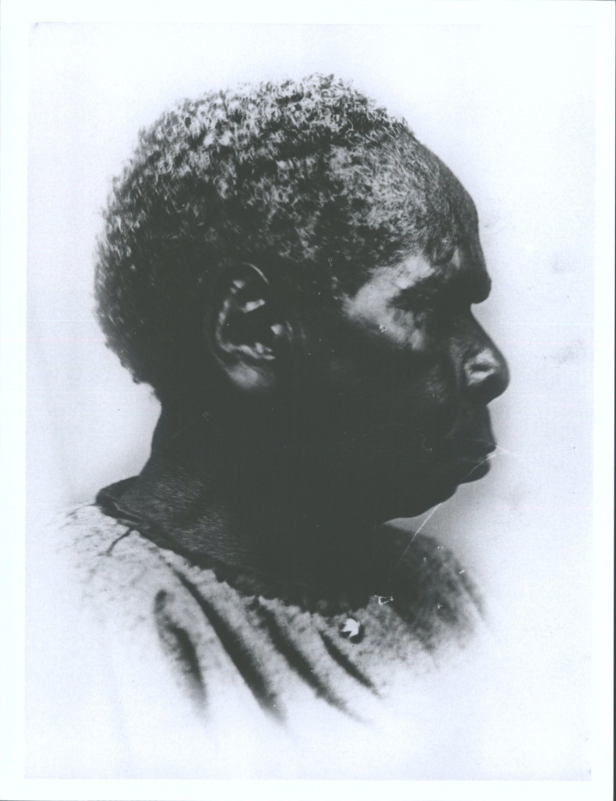 Patty the ring-tailed opossum