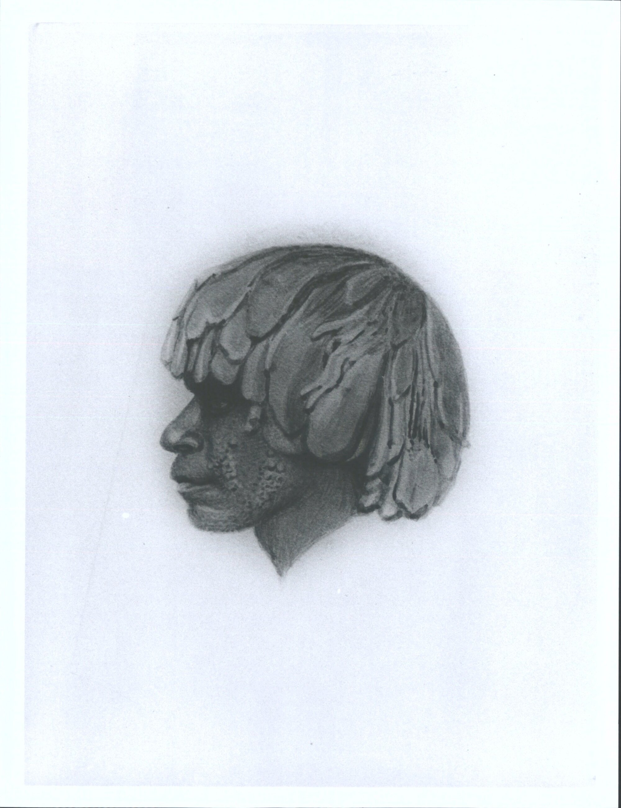 Maualargenna - A Chief of the Eastern Coast