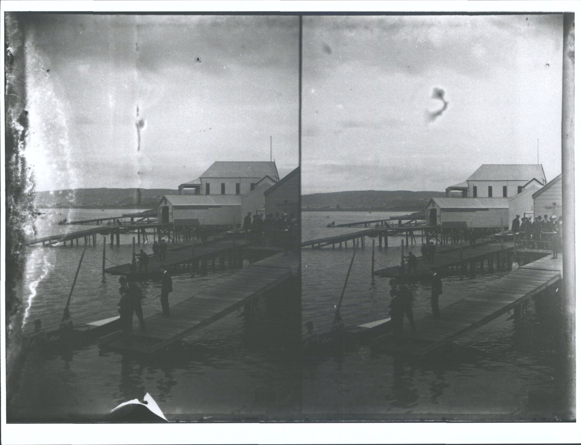 Ferry landing [Tamar River], scull race