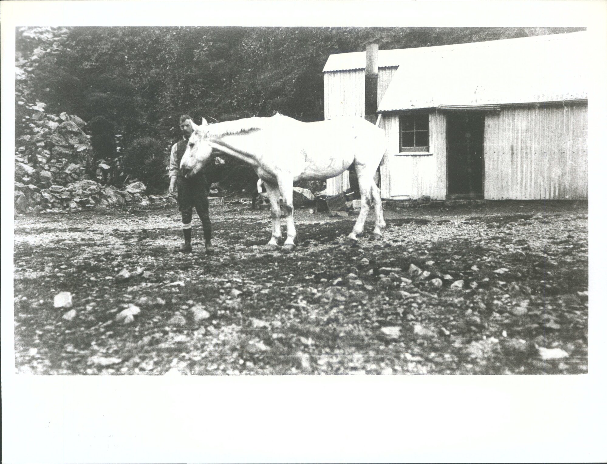 Jos McGeorge at Ball Hutt