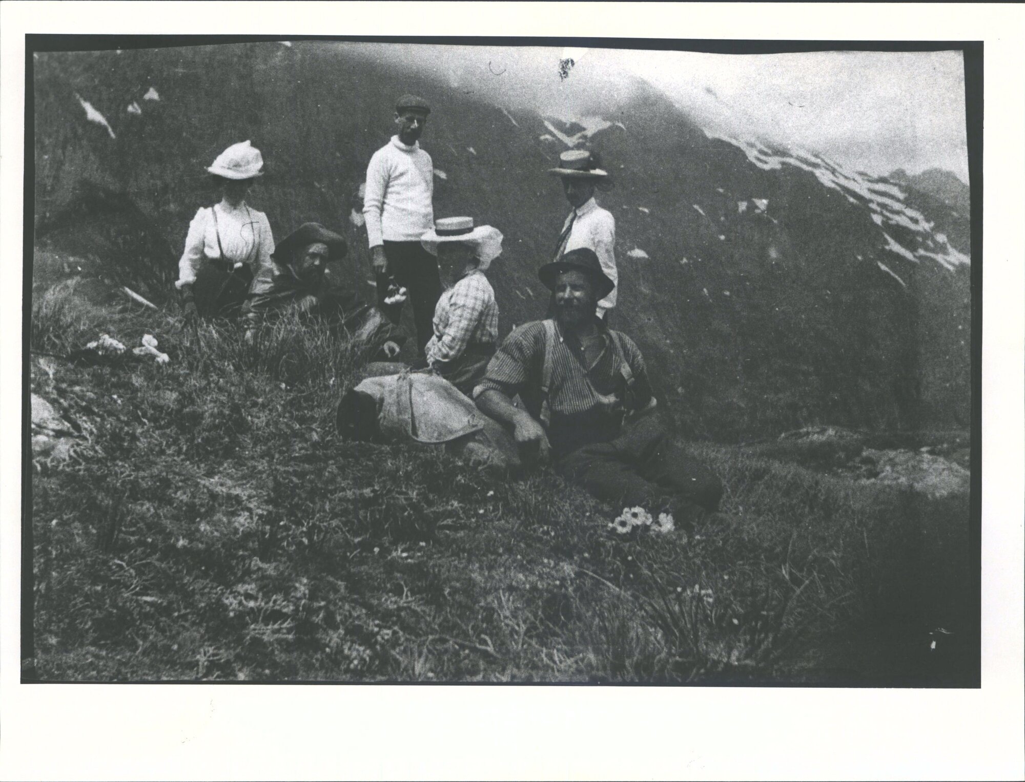 Ross who captured the Notornis