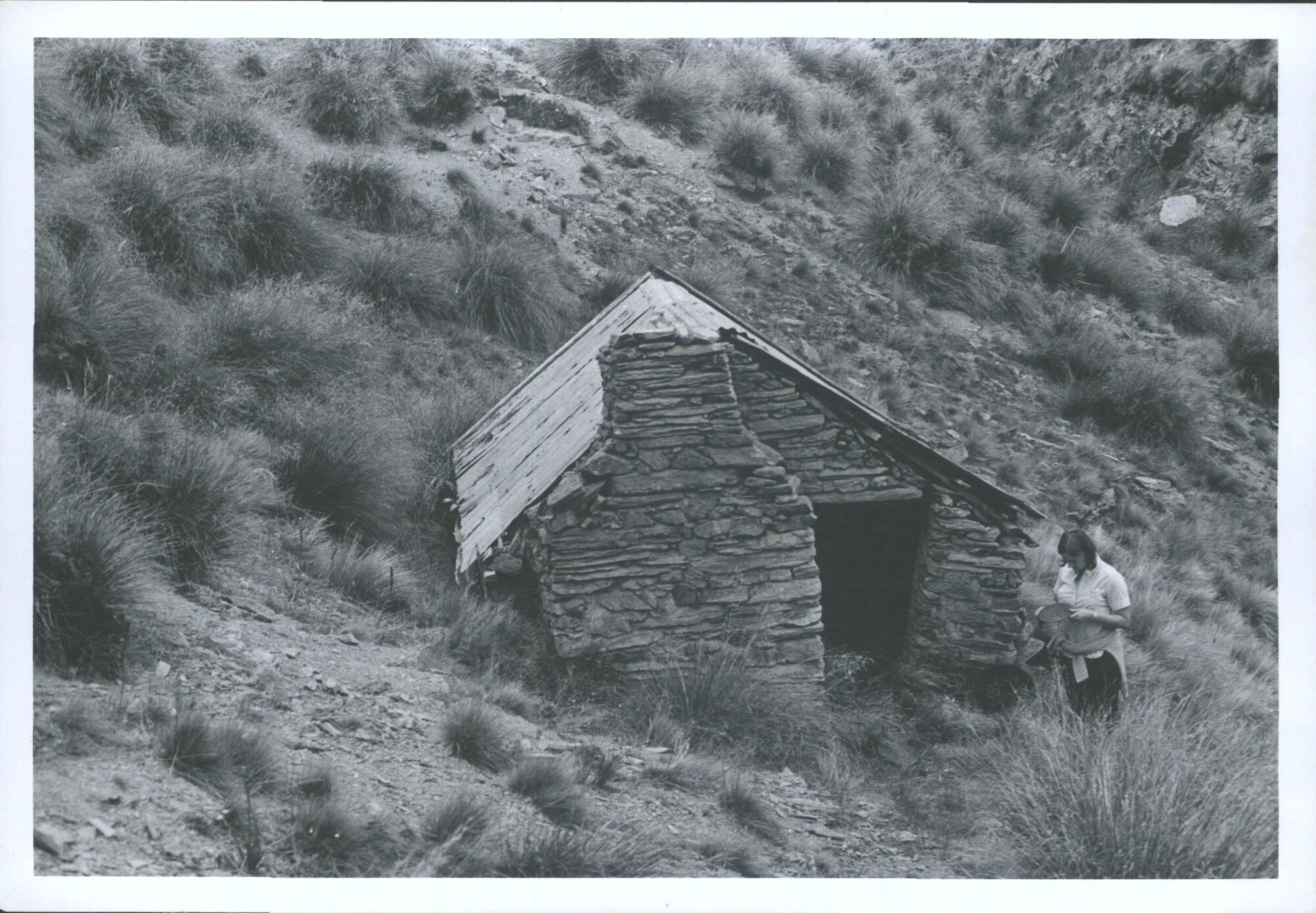 Carricktown Goldmining