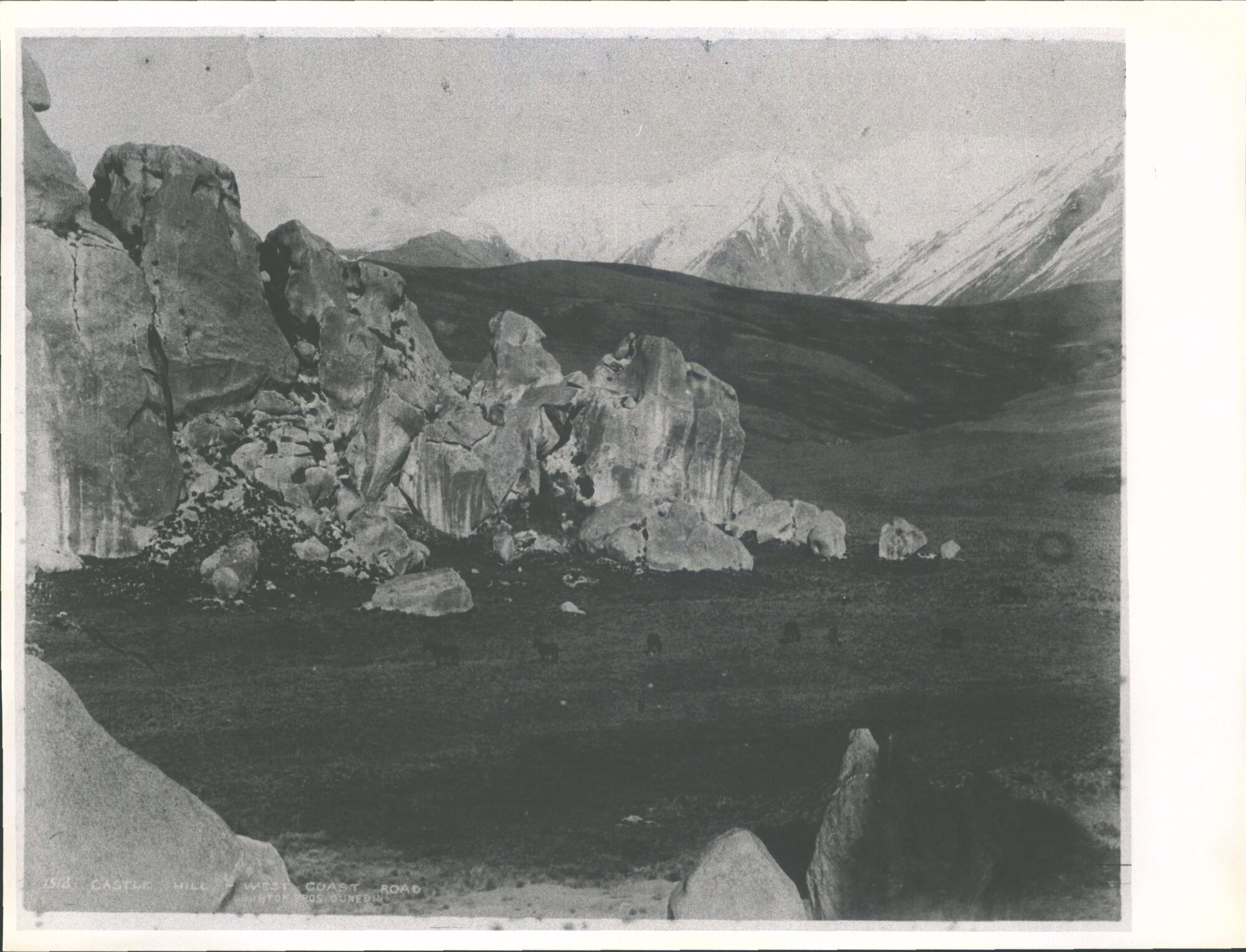 Castle Hill, West Coast Road