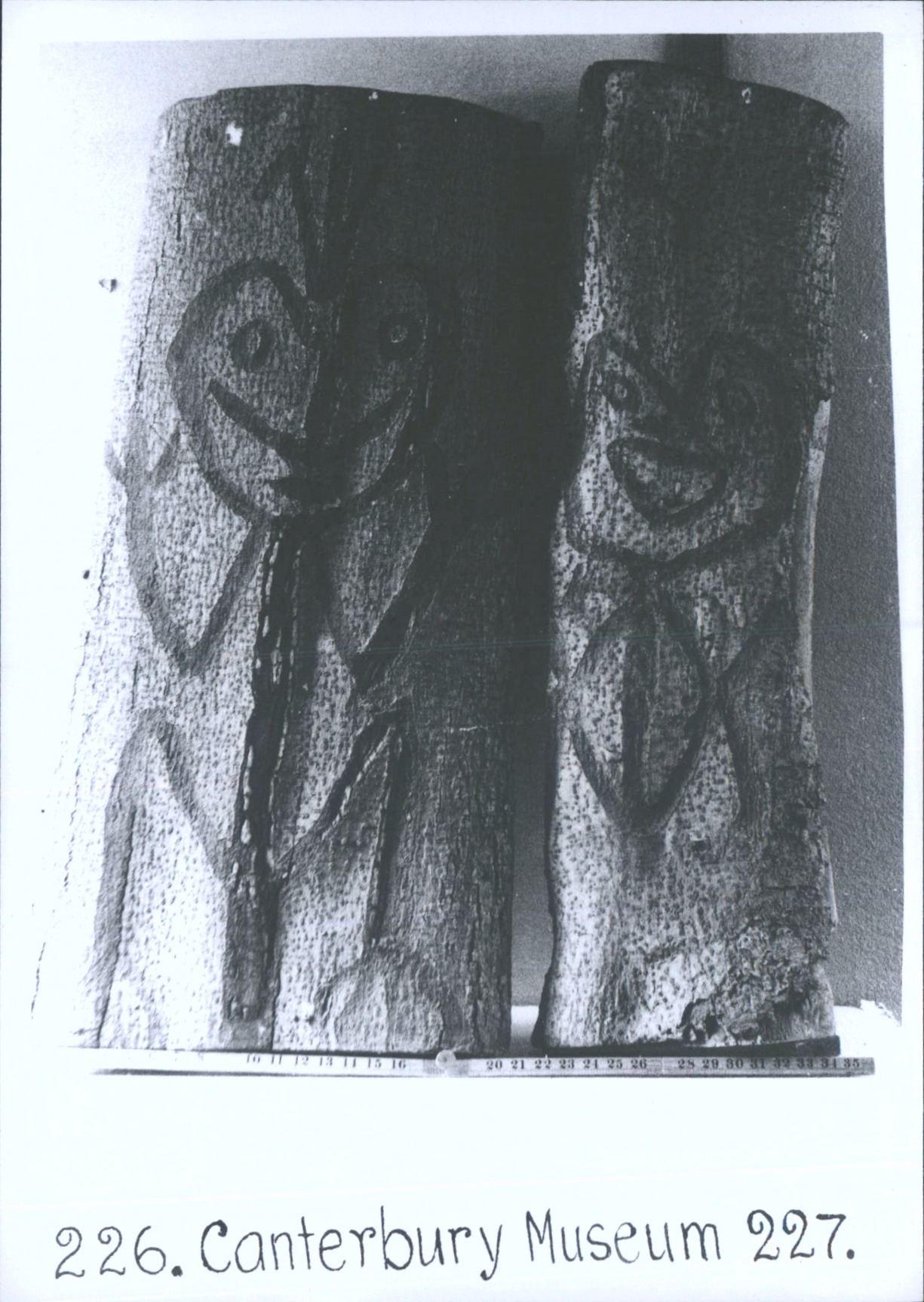 Dendroglyphs