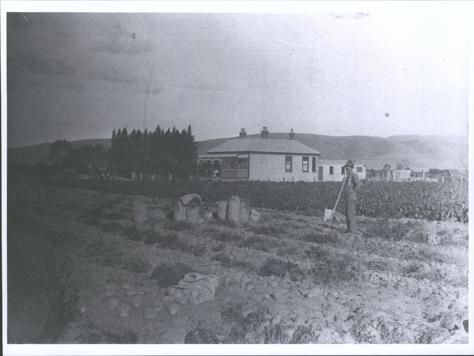 W. R. Currie, Maple Crescent, Clarksville