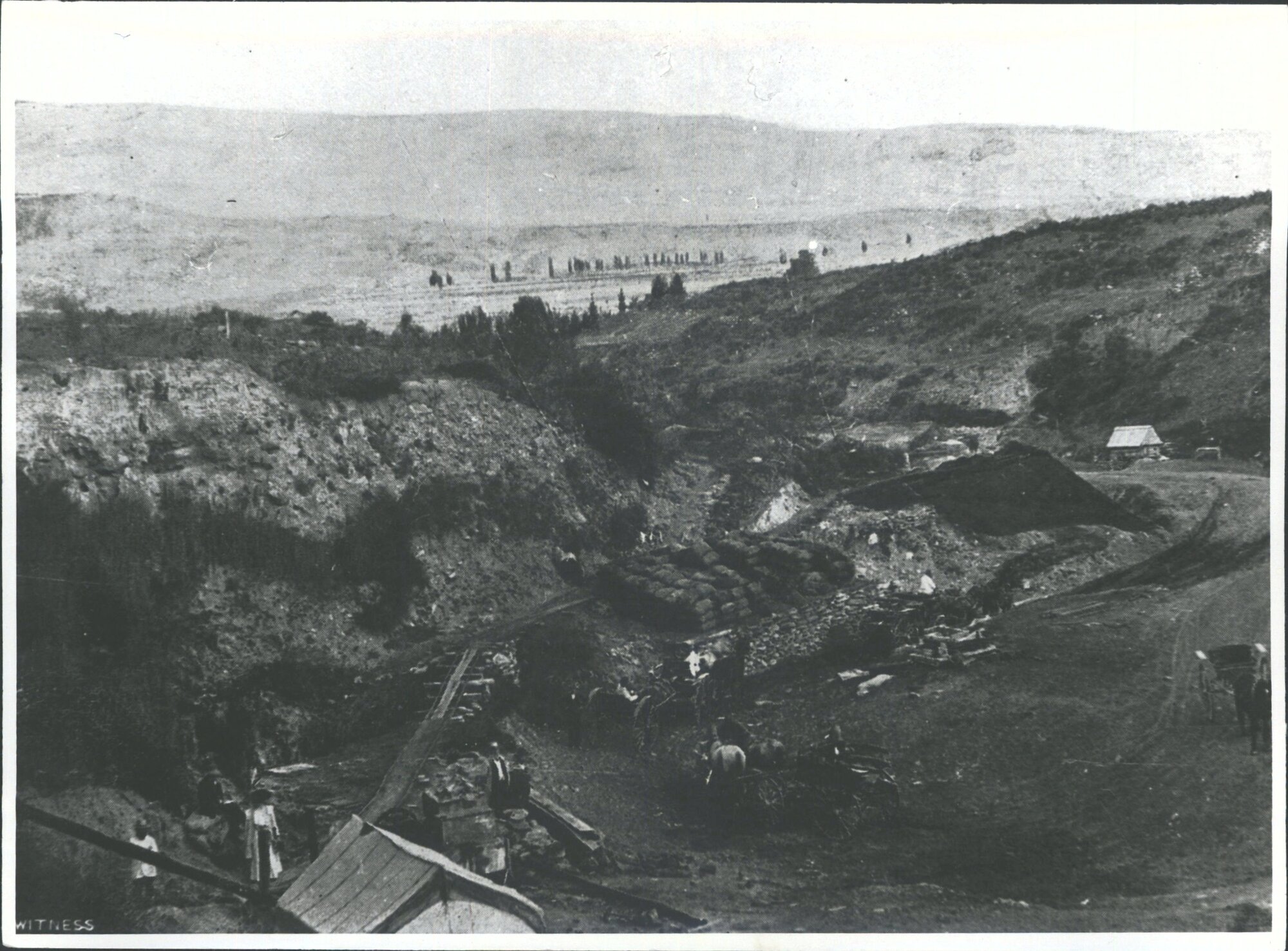 View of Coal Greek Gully