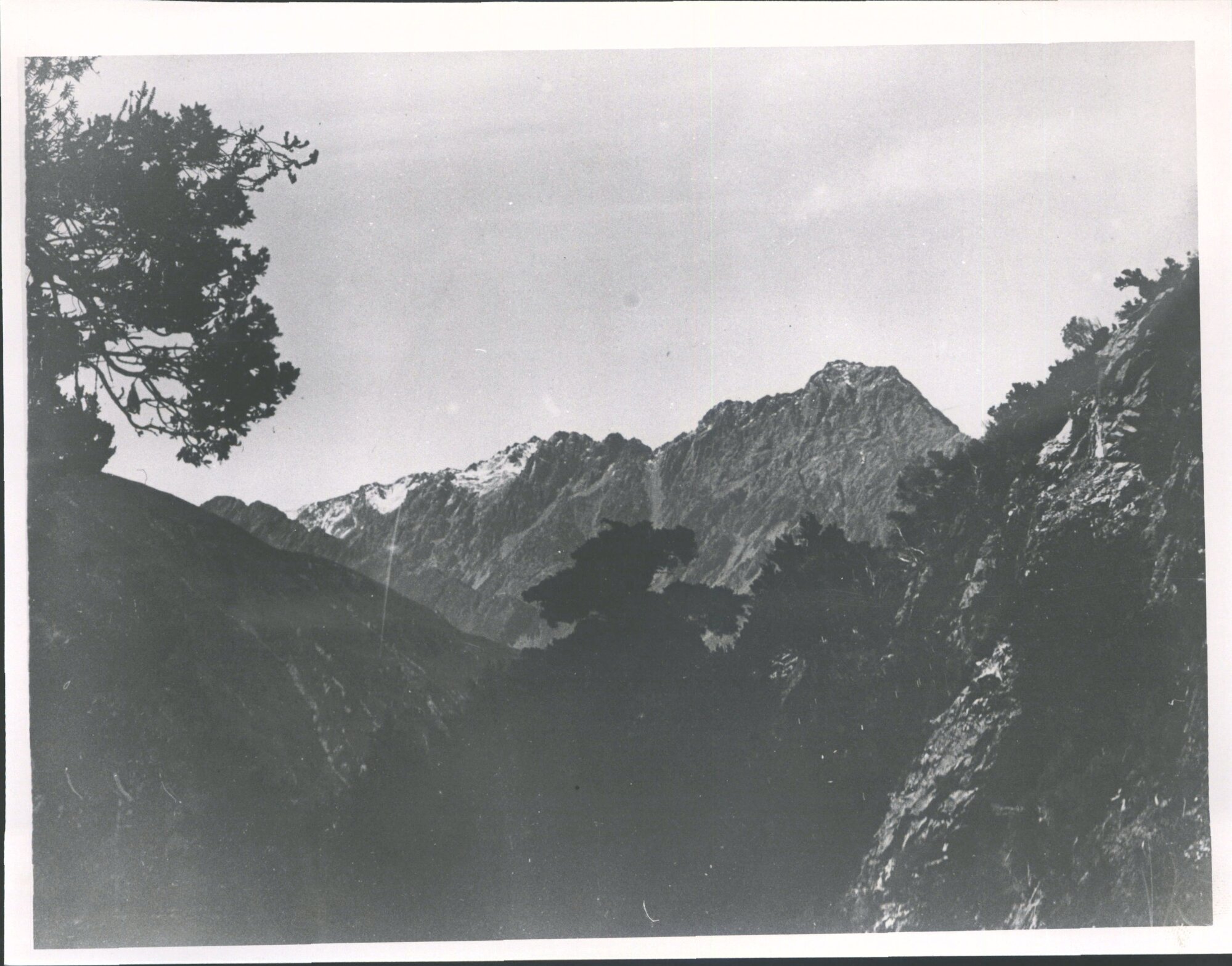 Rotten Tommy from the Hermitage