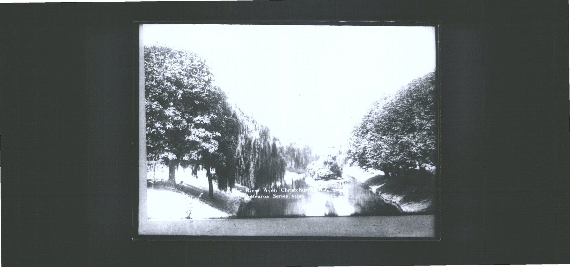 The River Avon, Christchurch, N.Z.