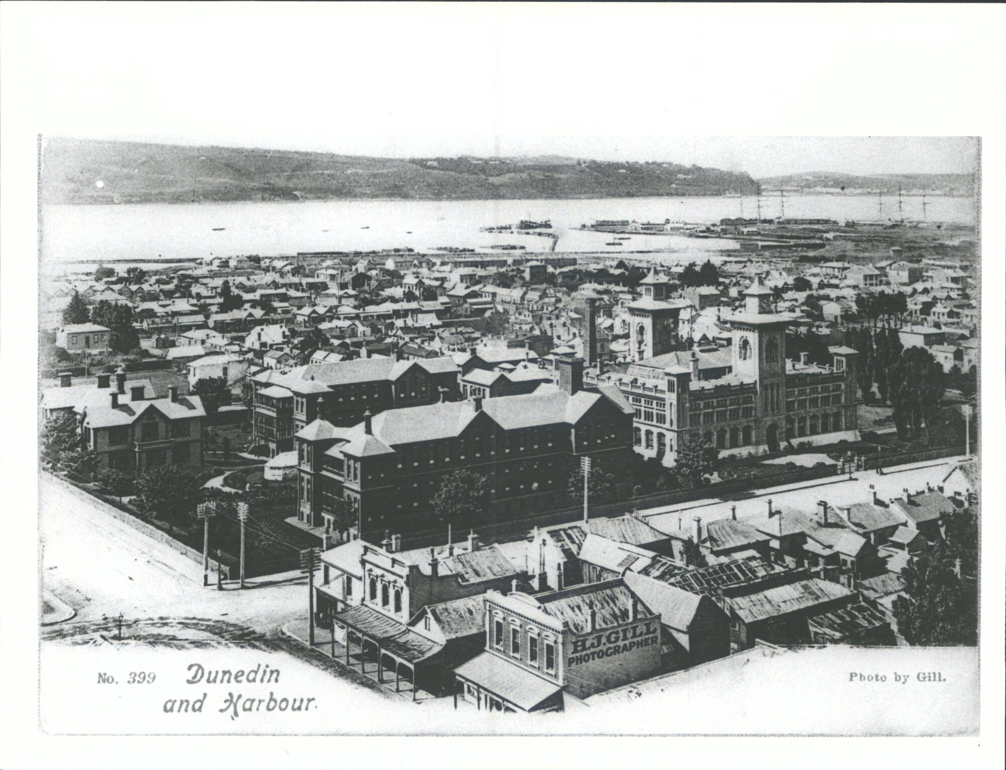 Dunedin and harbour