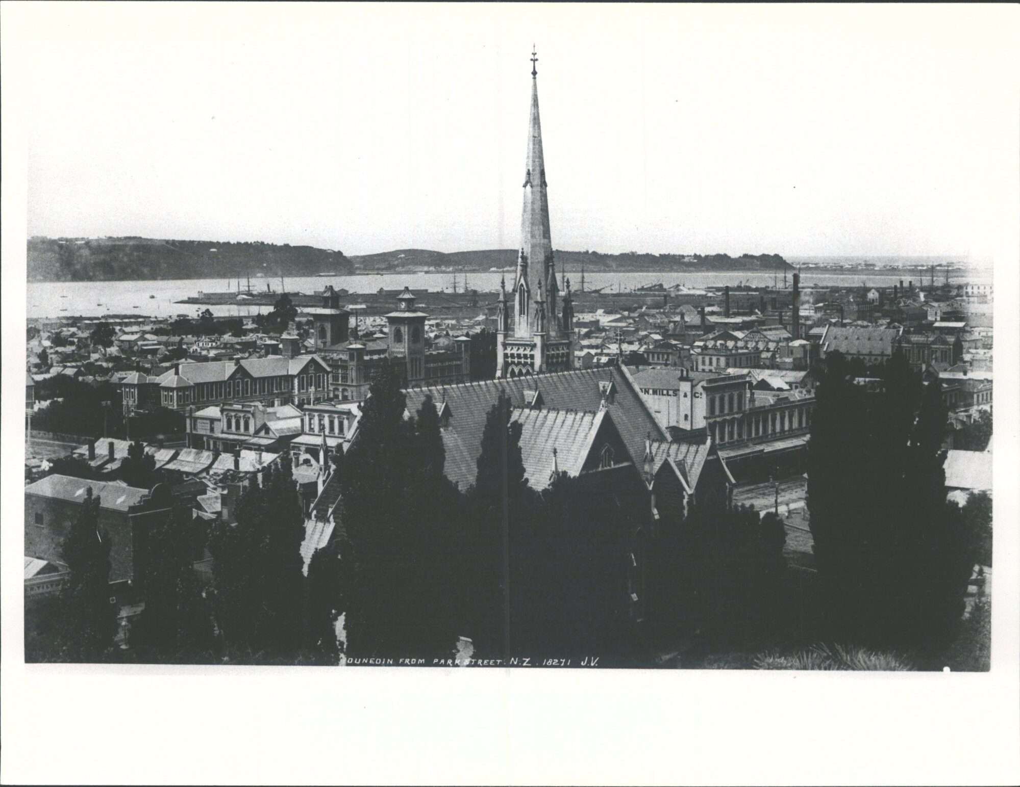 Dunedin from Park Street