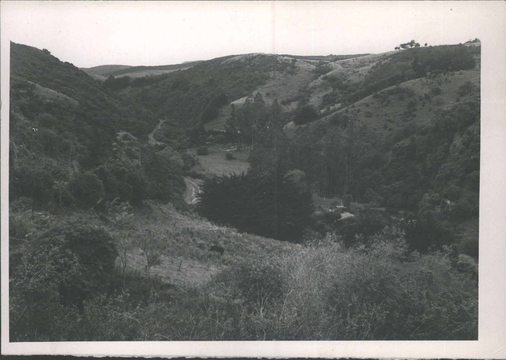 Leith Valley Boundary <unclear> &amp; Waikouaiti