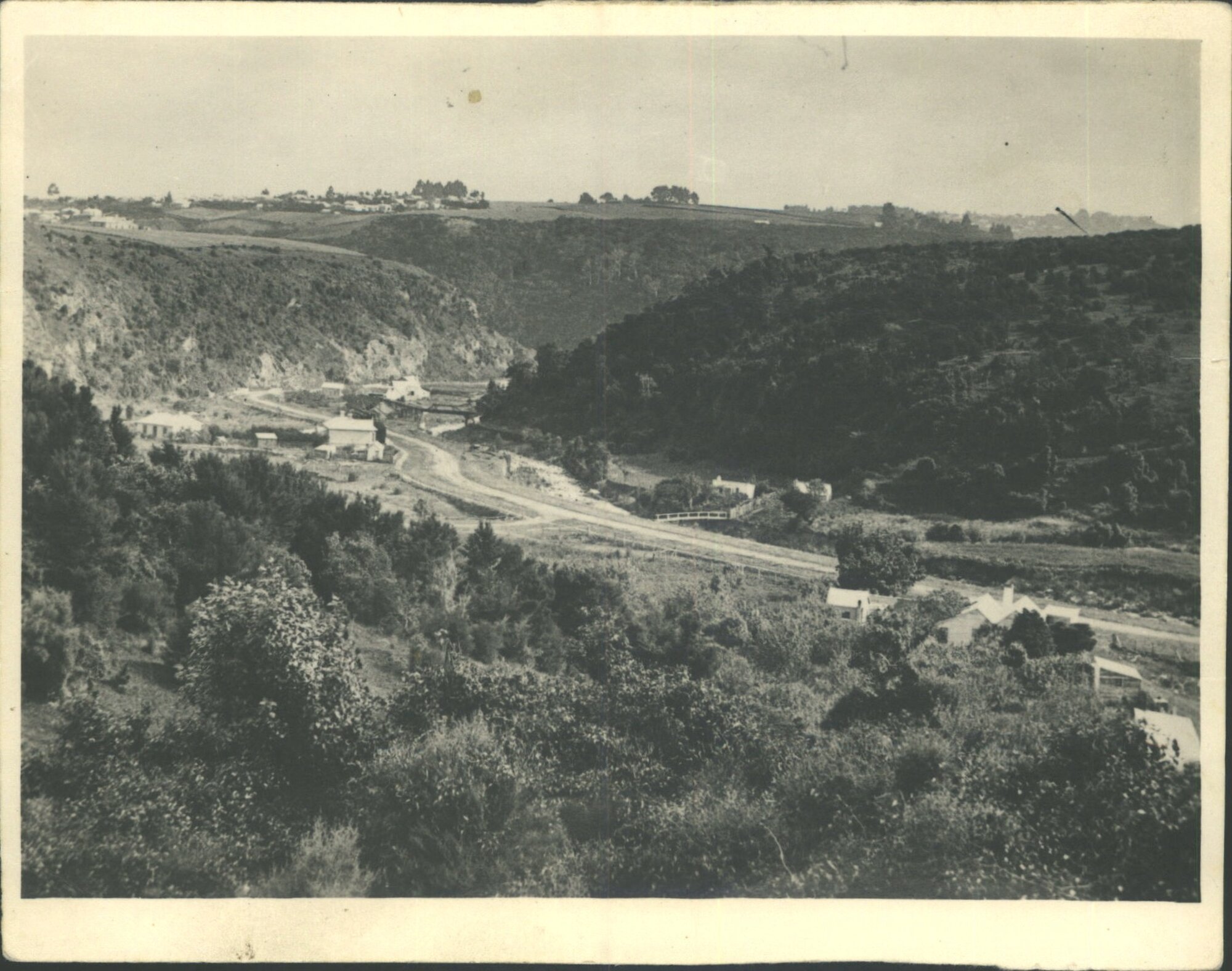 Looking down on Leith Valley towards Maori Hill 