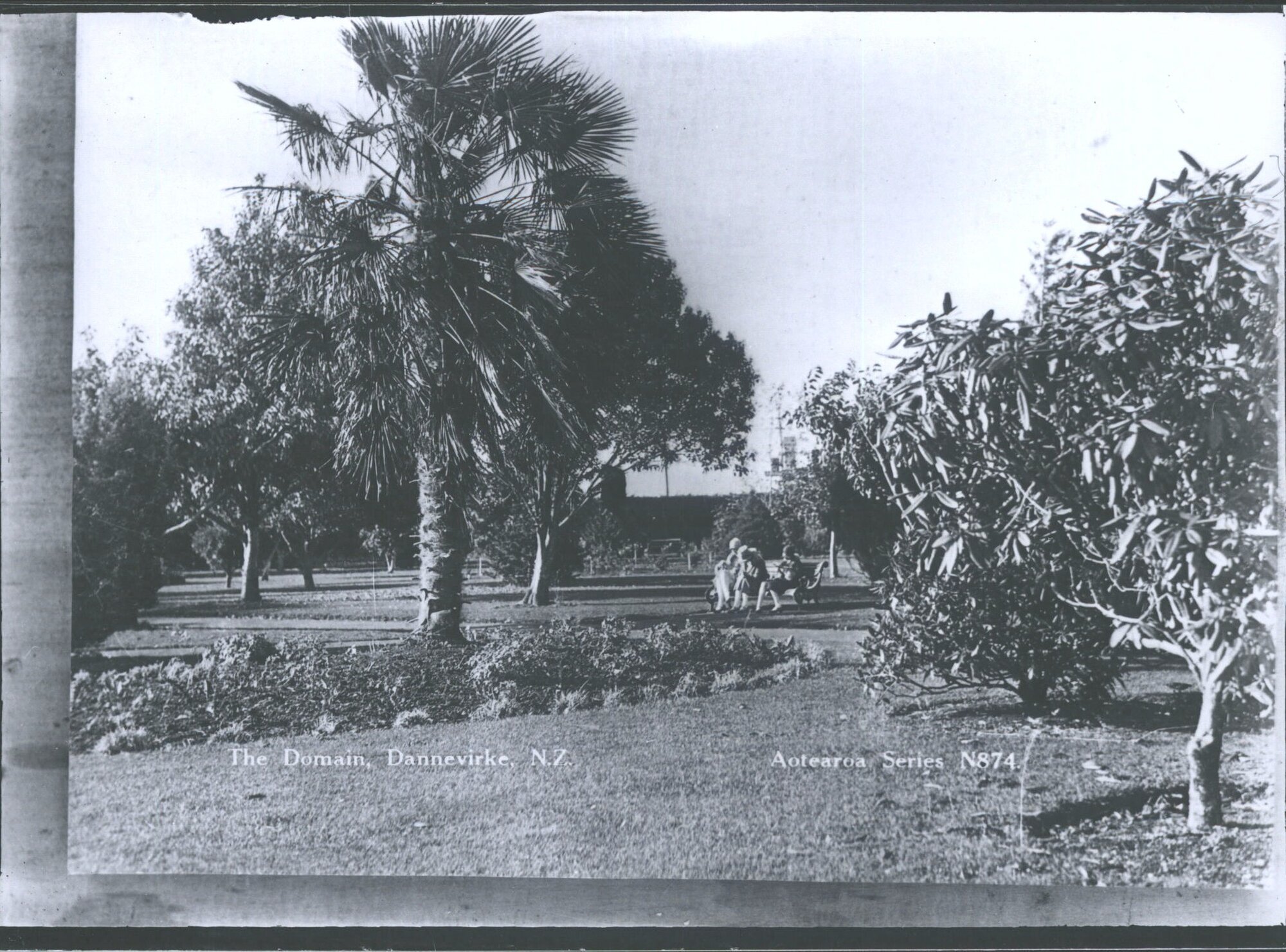 The Domain, Dannevirke, N.Z.