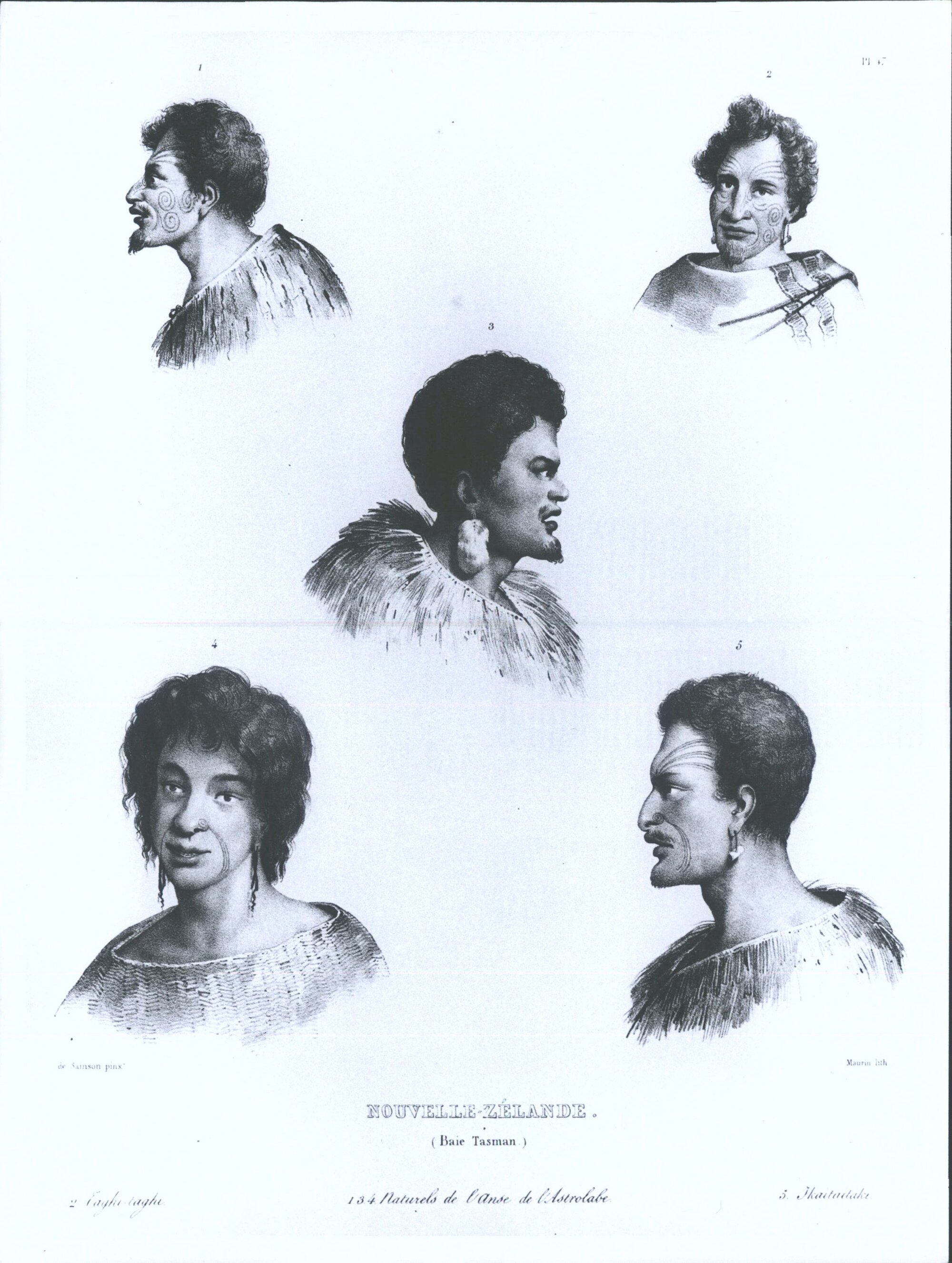 D'Urville Voyage of the Astrolabe