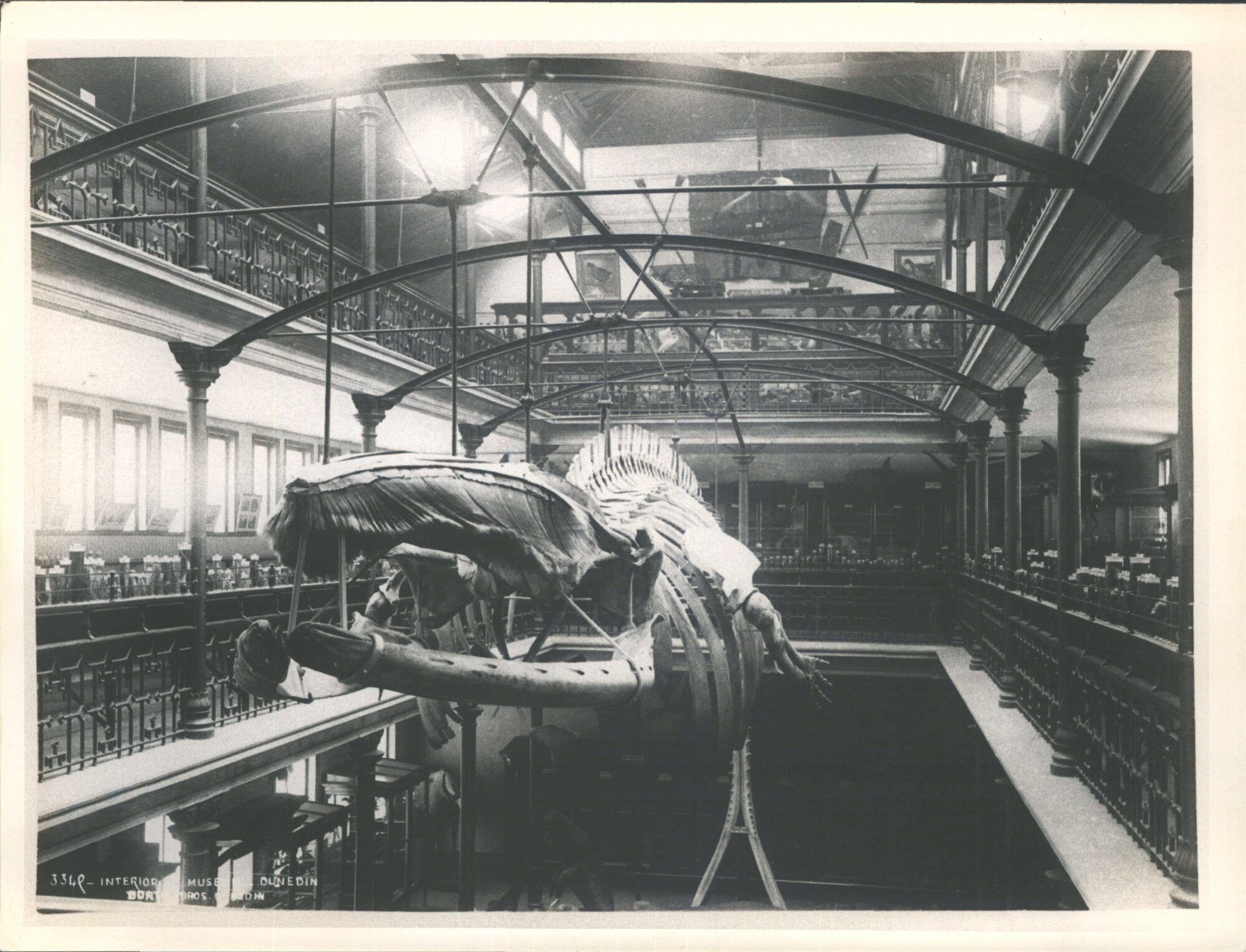 Interior, Museum, Dunedin