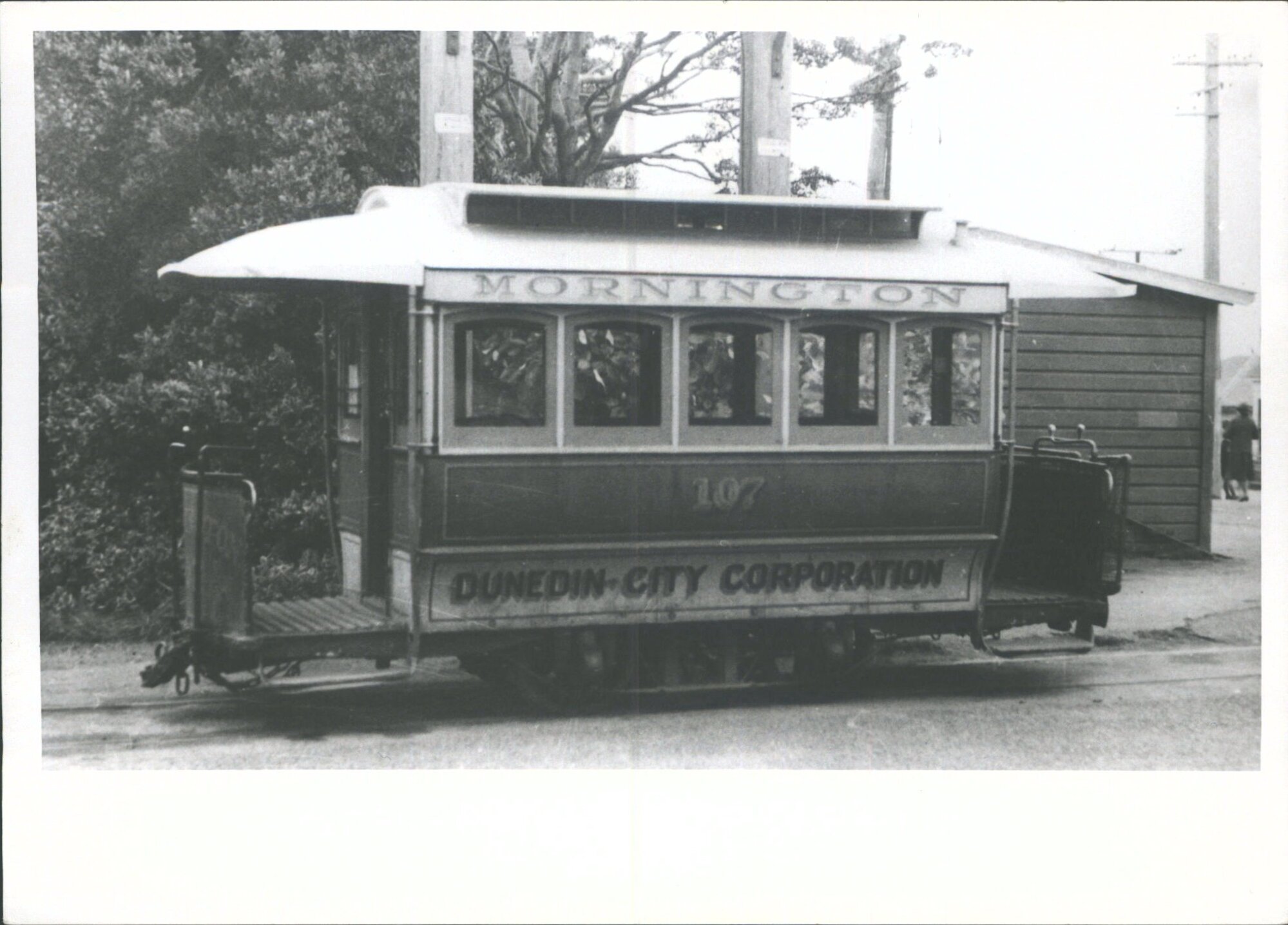 Mornington Trailer  107