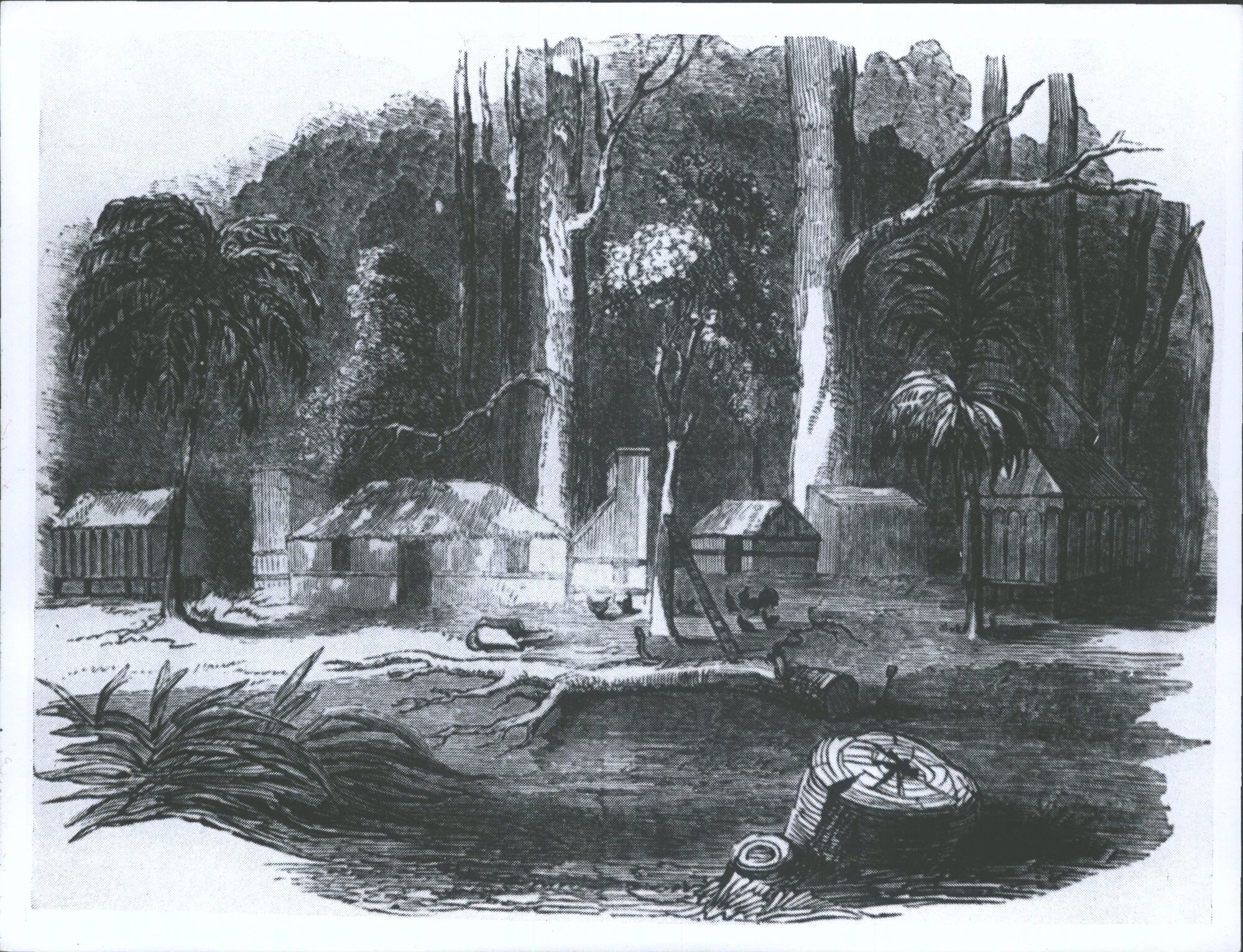 Immigrants Cottage Otago.