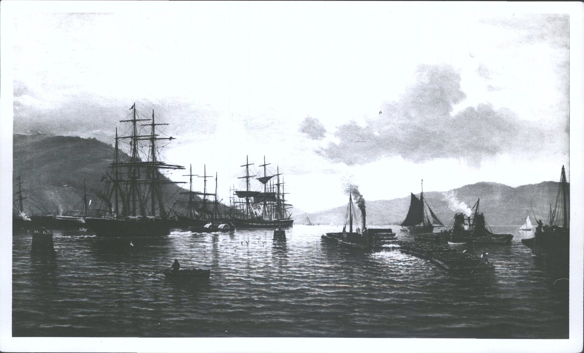 Toil &amp; Bustle Otago Harbour