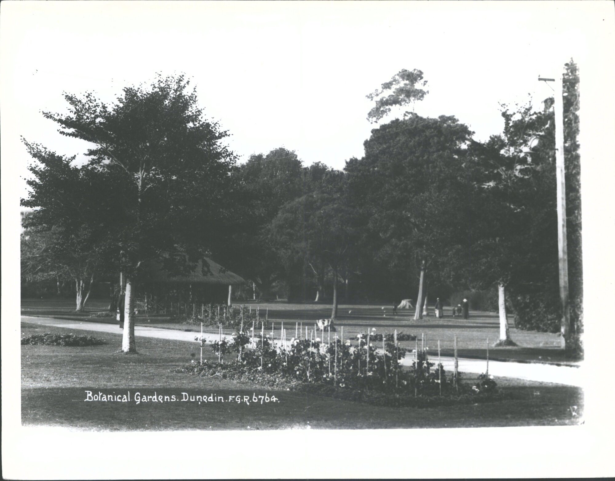 Botanical Gardens, Dunedin