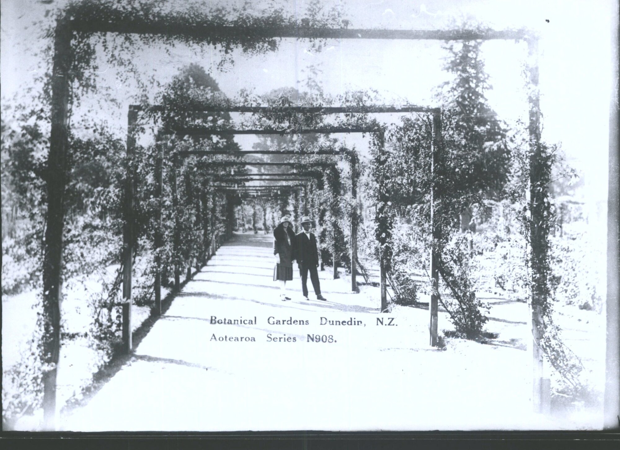 Botanical Gardens Dunedin, N.Z.