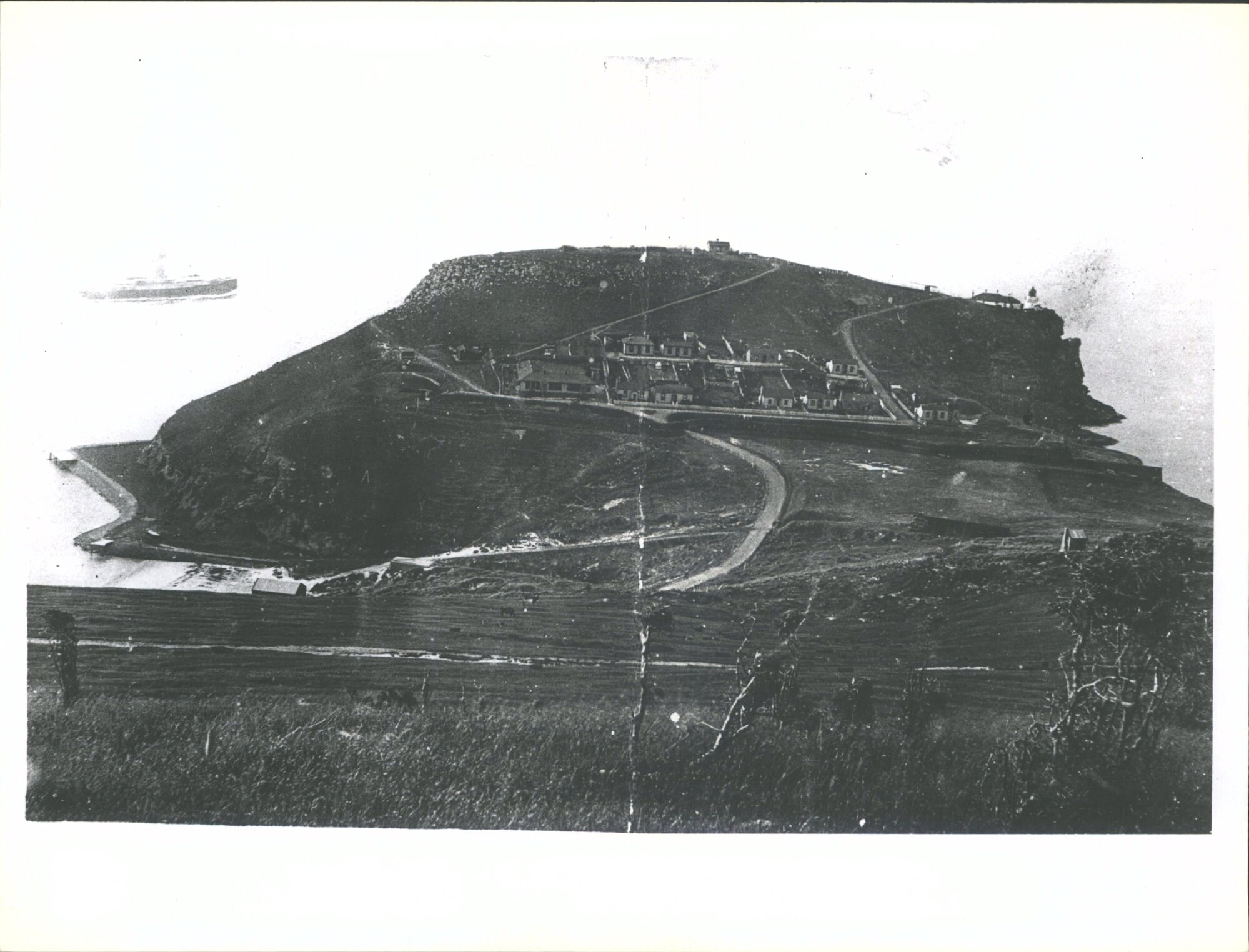 OTAGO HARBOUR HEADS - Taiaroa