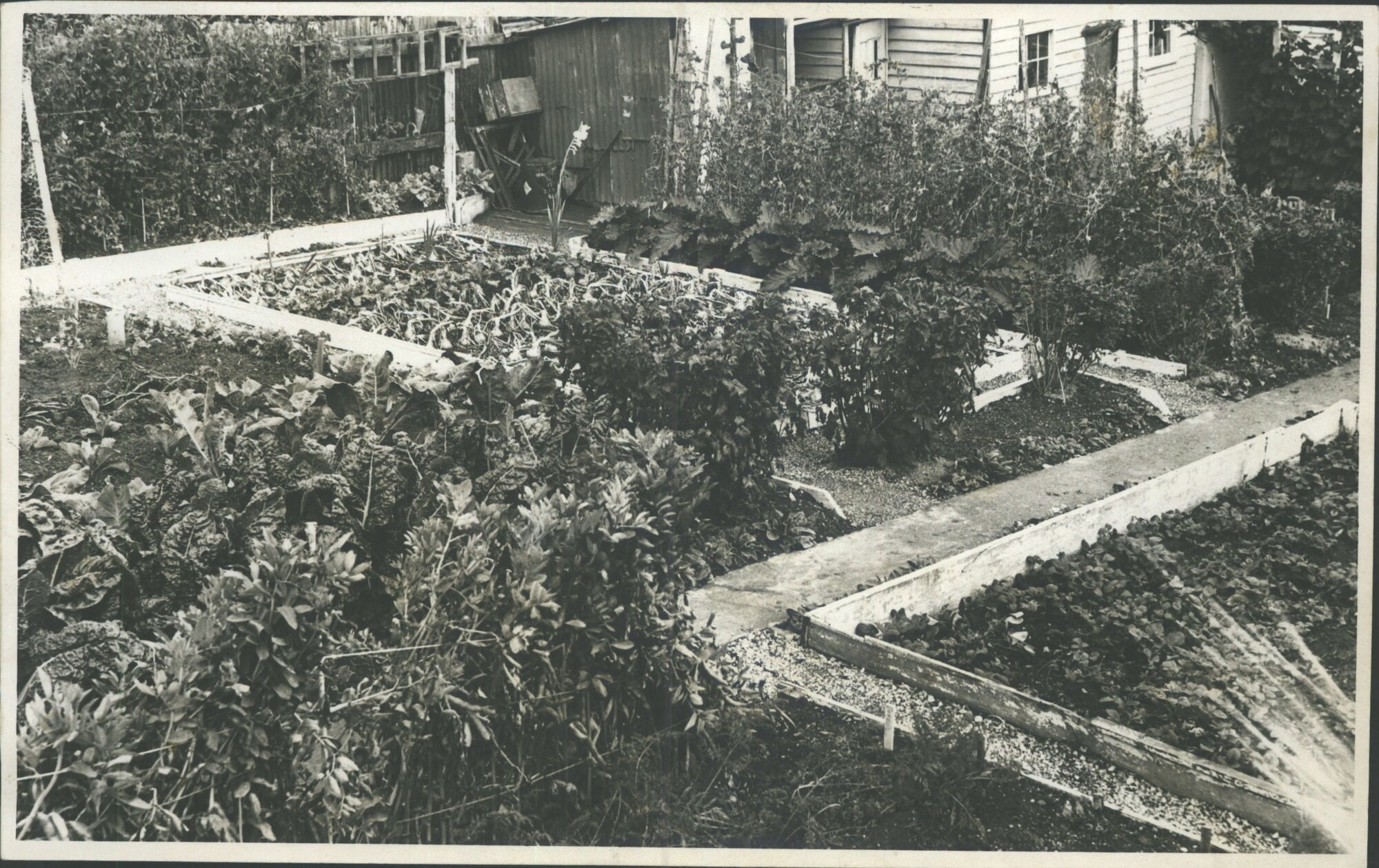 Home Garden  Class V 1st