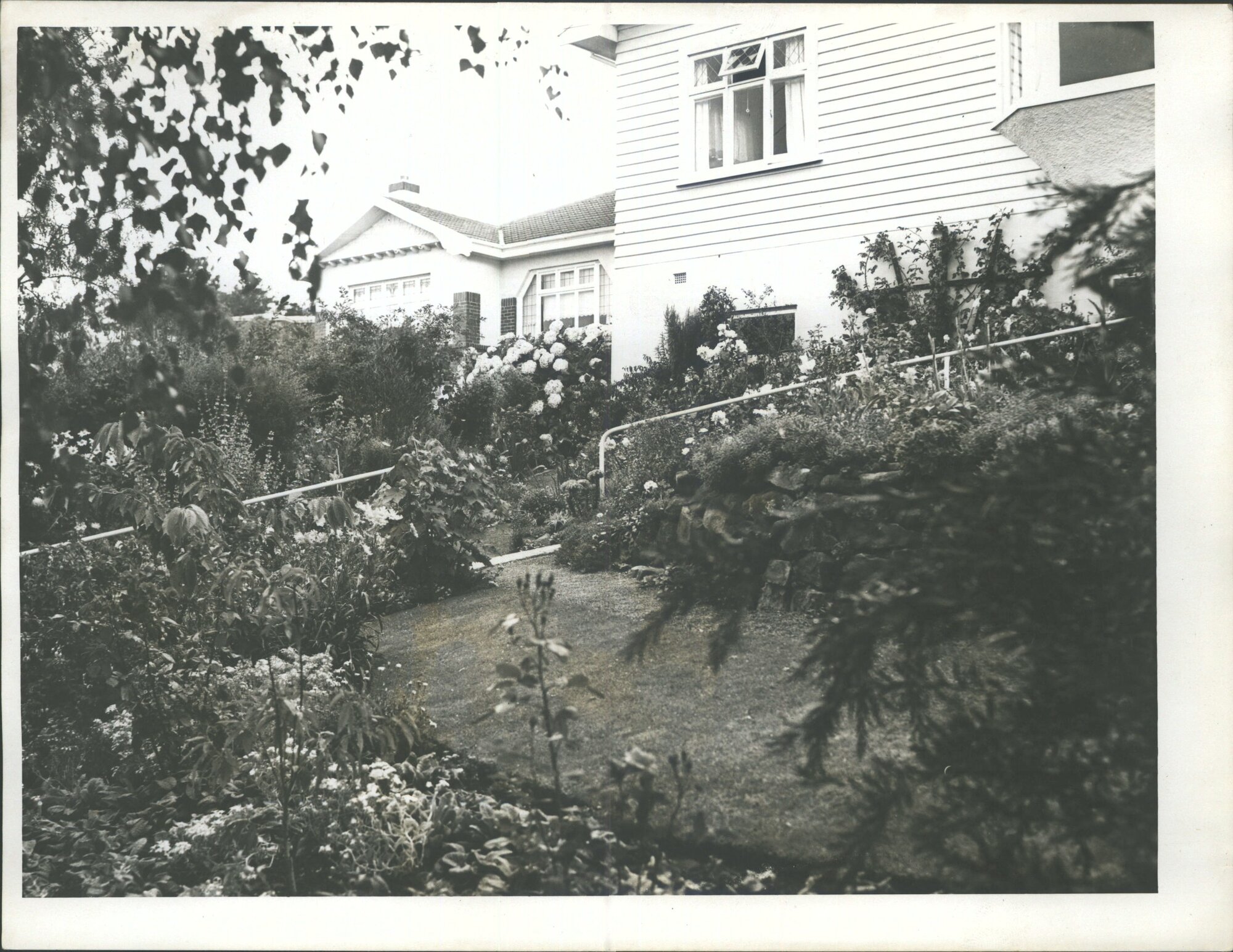 Class II  1st    Home gardens