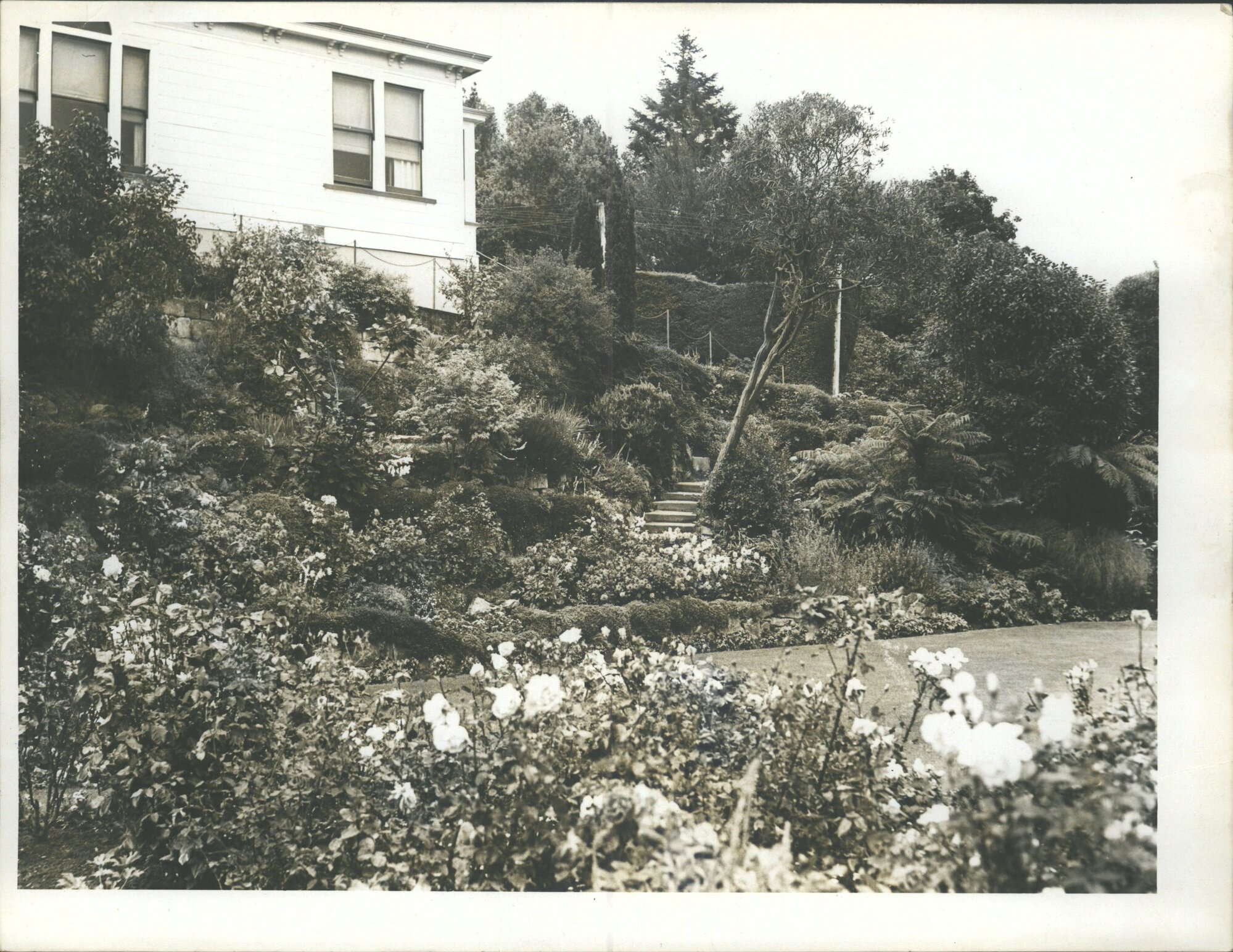 Class VI 1st  Home Gardens