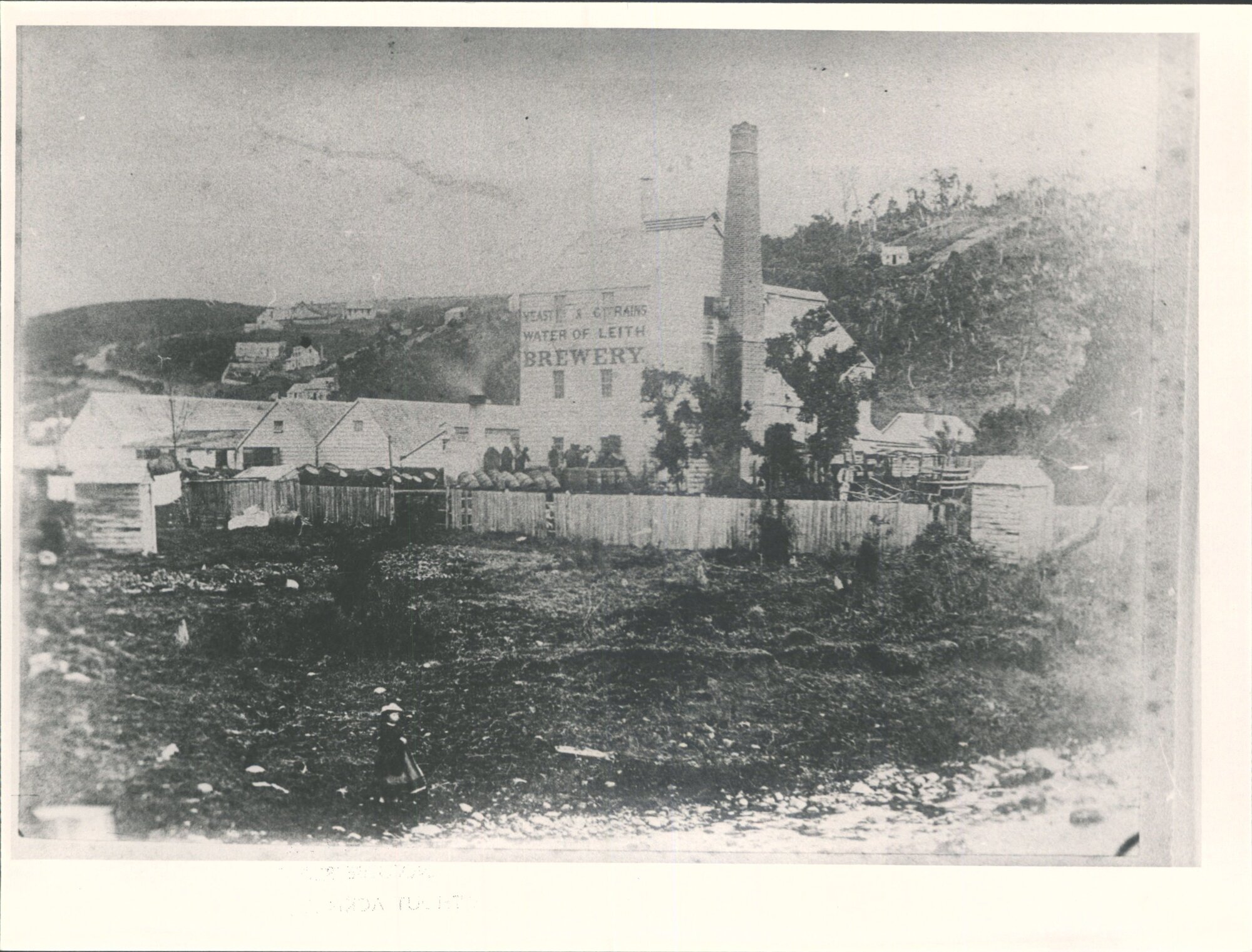 Water of Leith Dunedin North