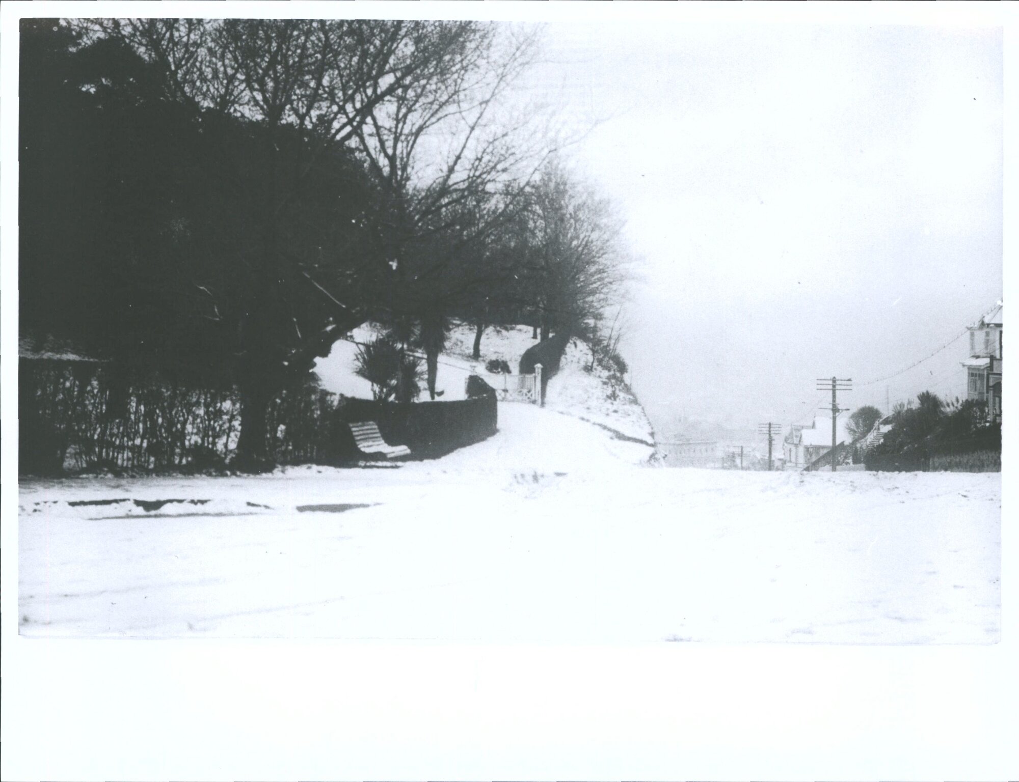 From top of Pitt Street