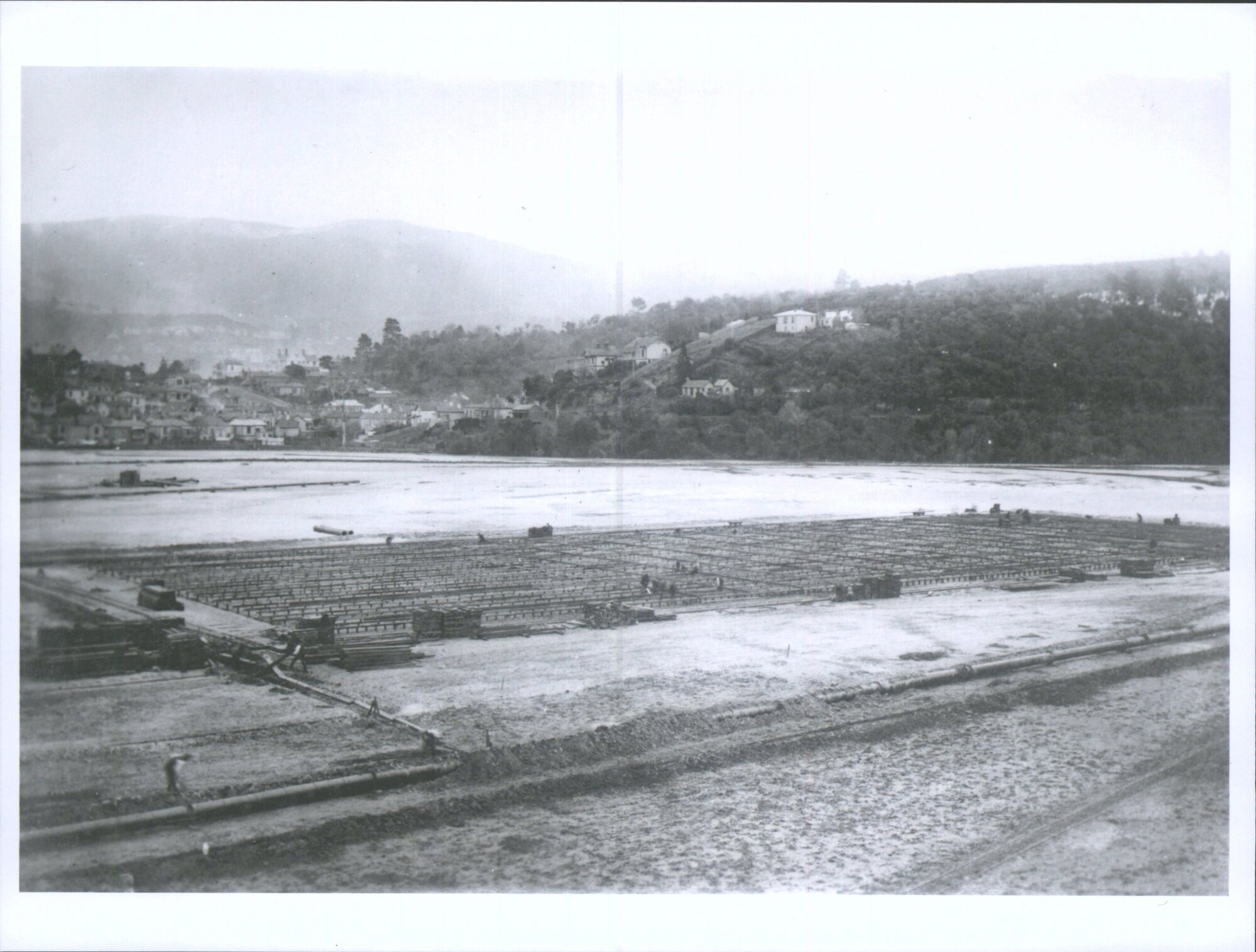 N. Z. &amp; S. S. Exhibition