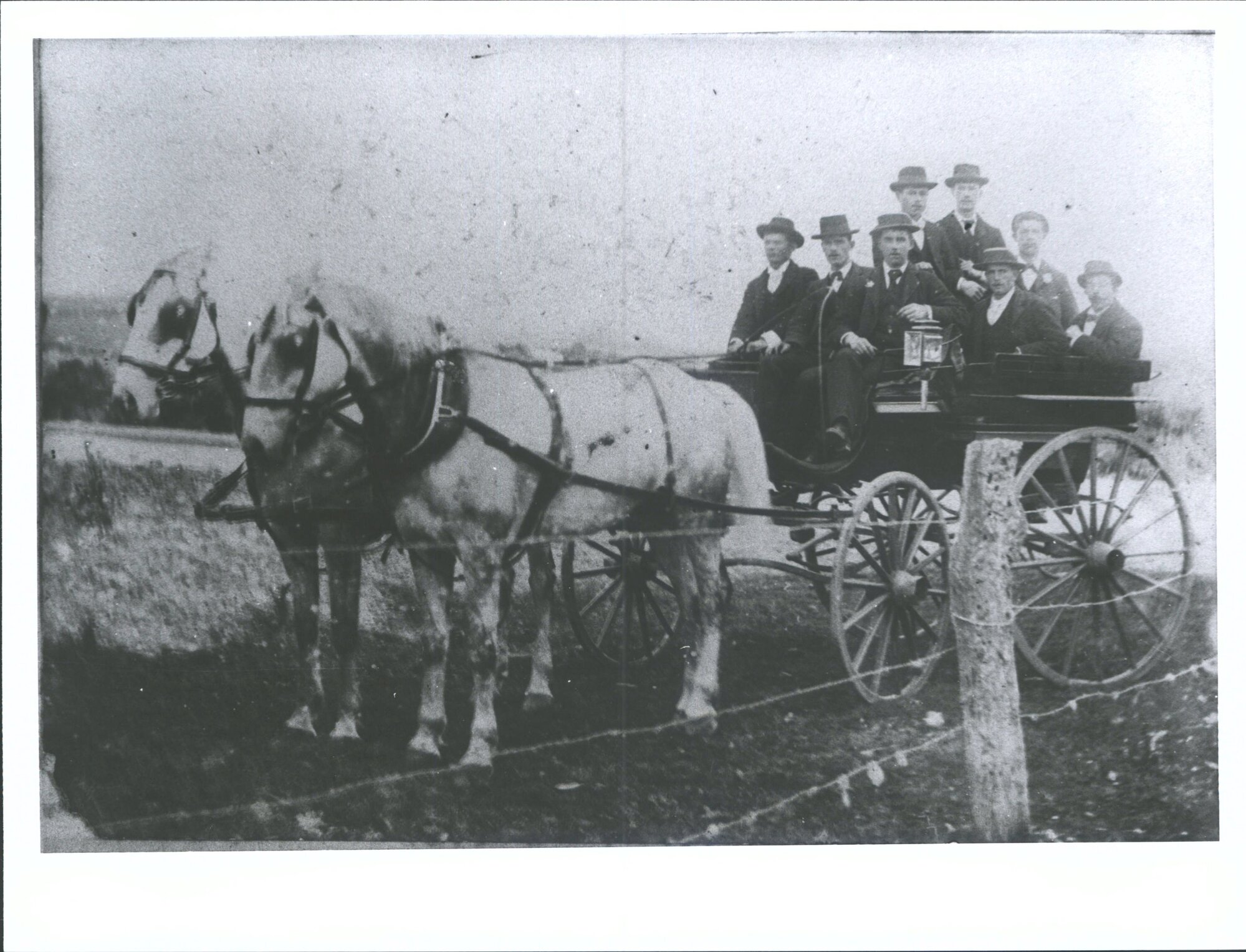 Outing by horse and cart