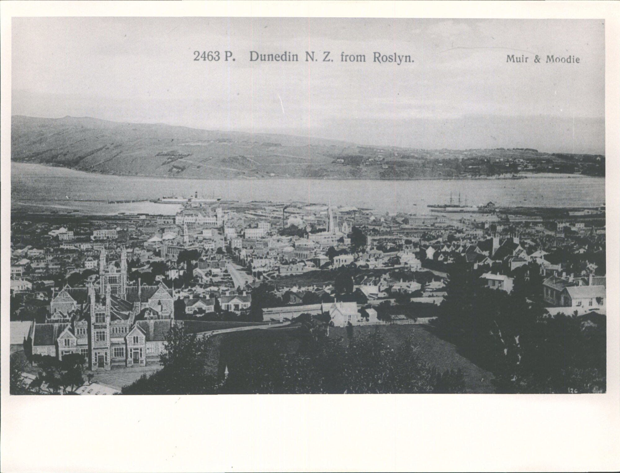 Dunedin N.Z. from Roslyn