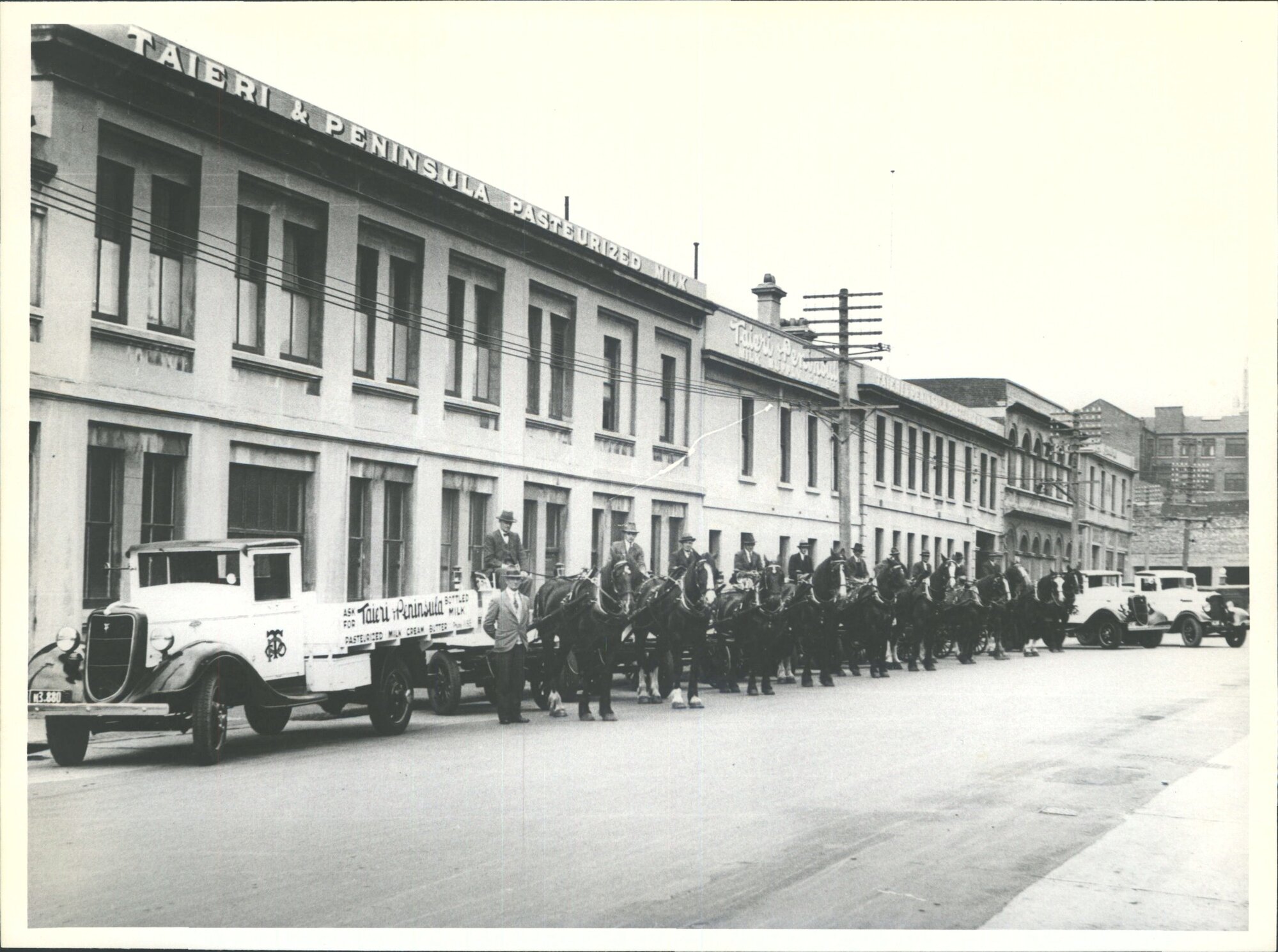 Taieri &amp; Peninsula Pasturised Milk Co.