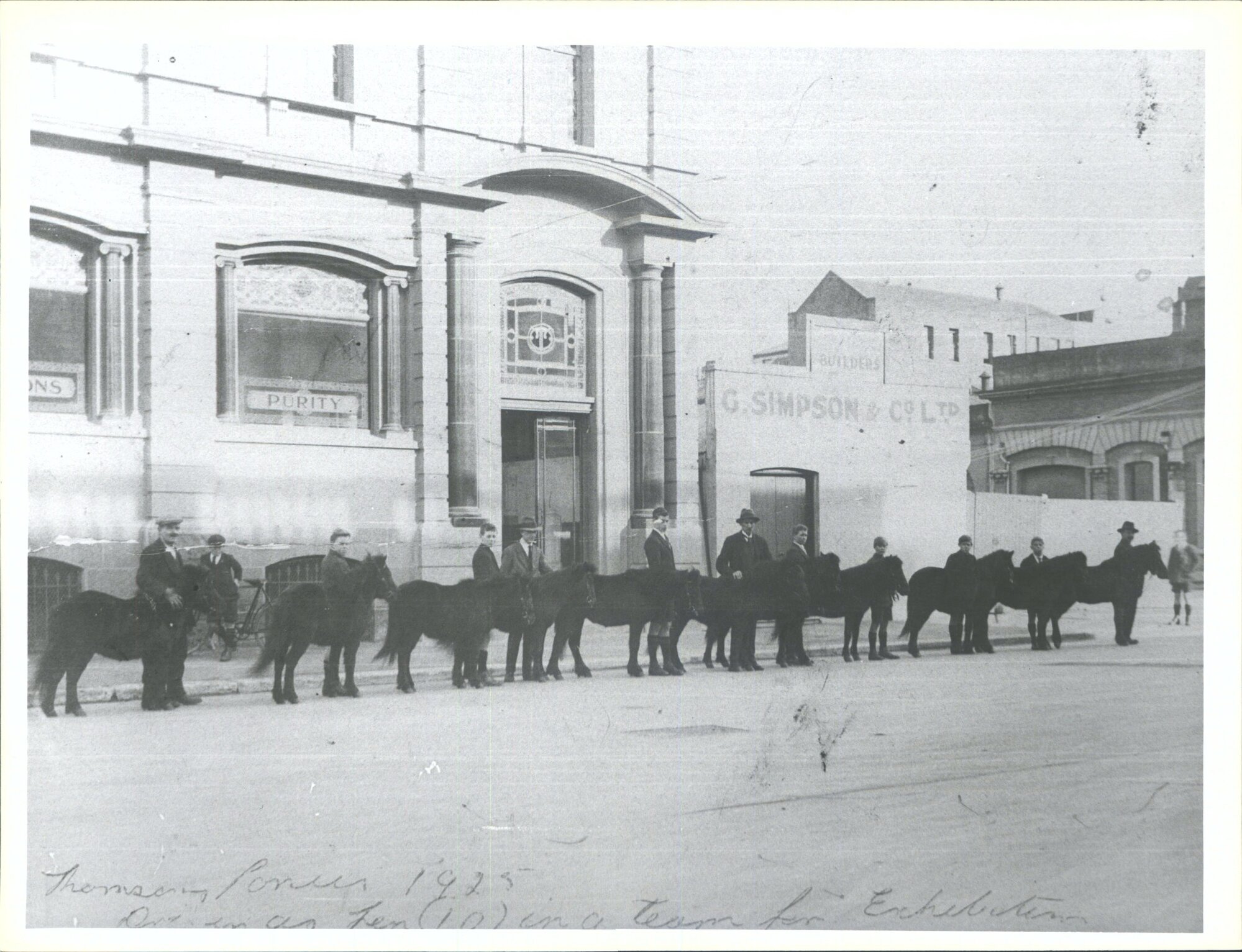 Thomsons ponies 1925. Entered as a team in the Exhibition