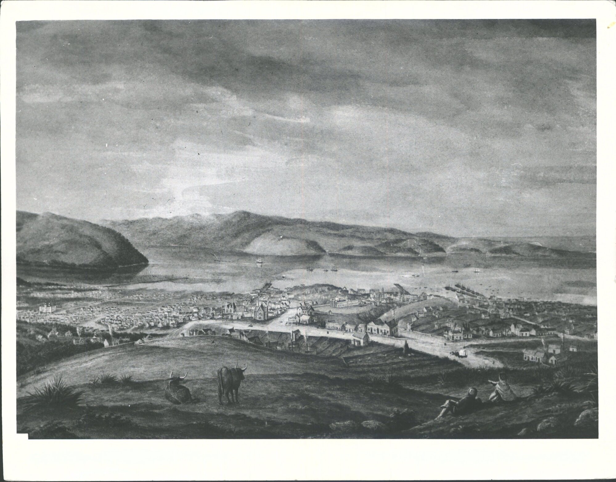 Handcock, W. City of Dunedin