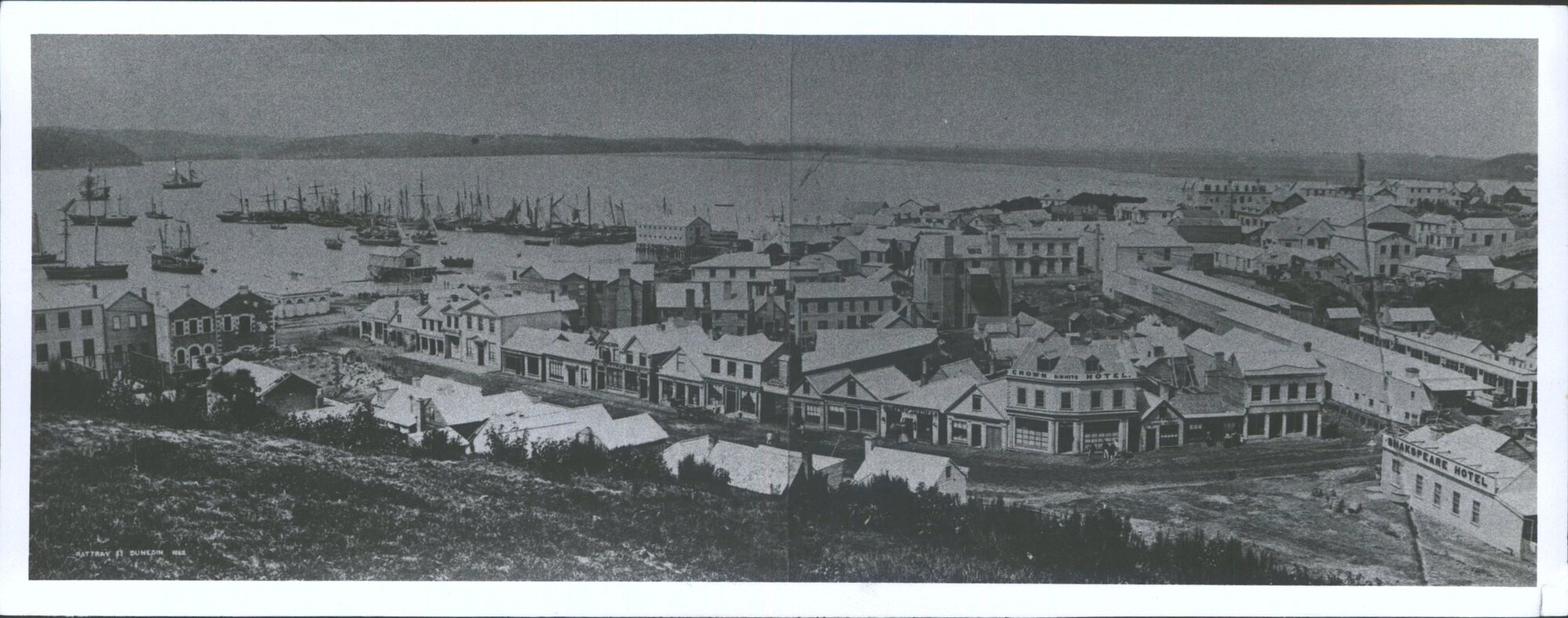 OLD DUNEDIN 1862 From Dowling St.